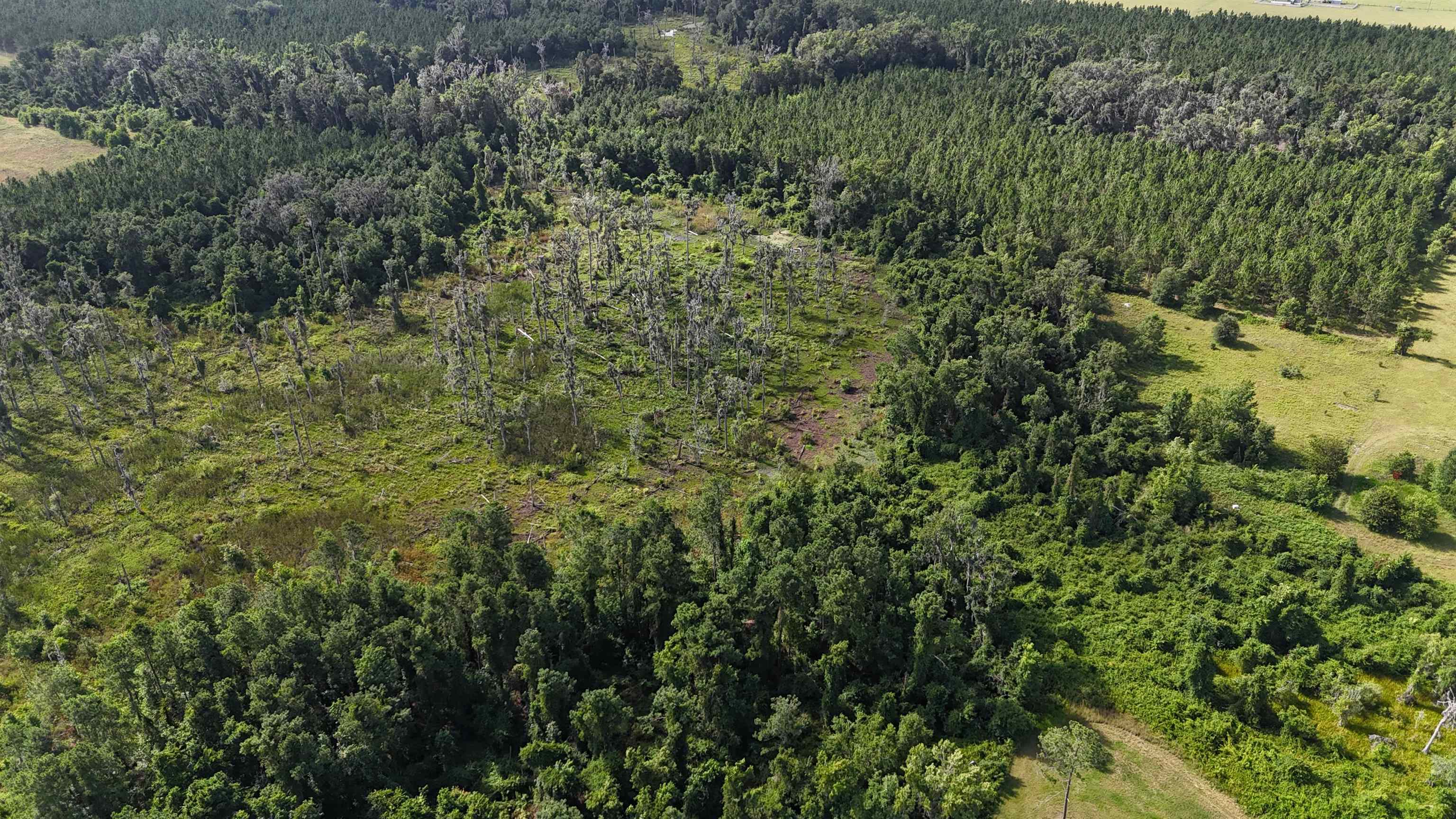 Vacant SE Cr 132, White Springs, Florida image 30