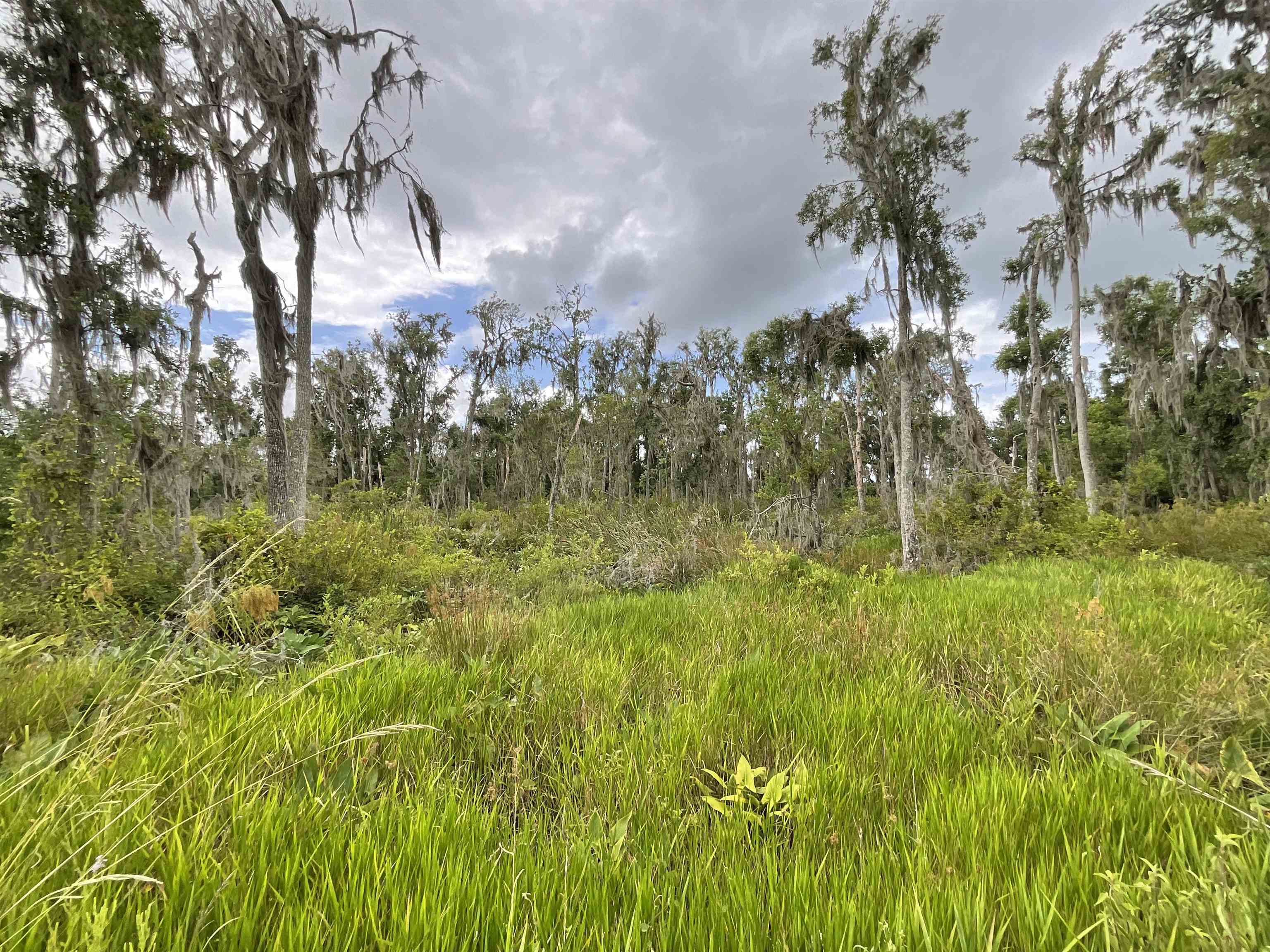 Vacant SE Cr 132, White Springs, Florida image 38