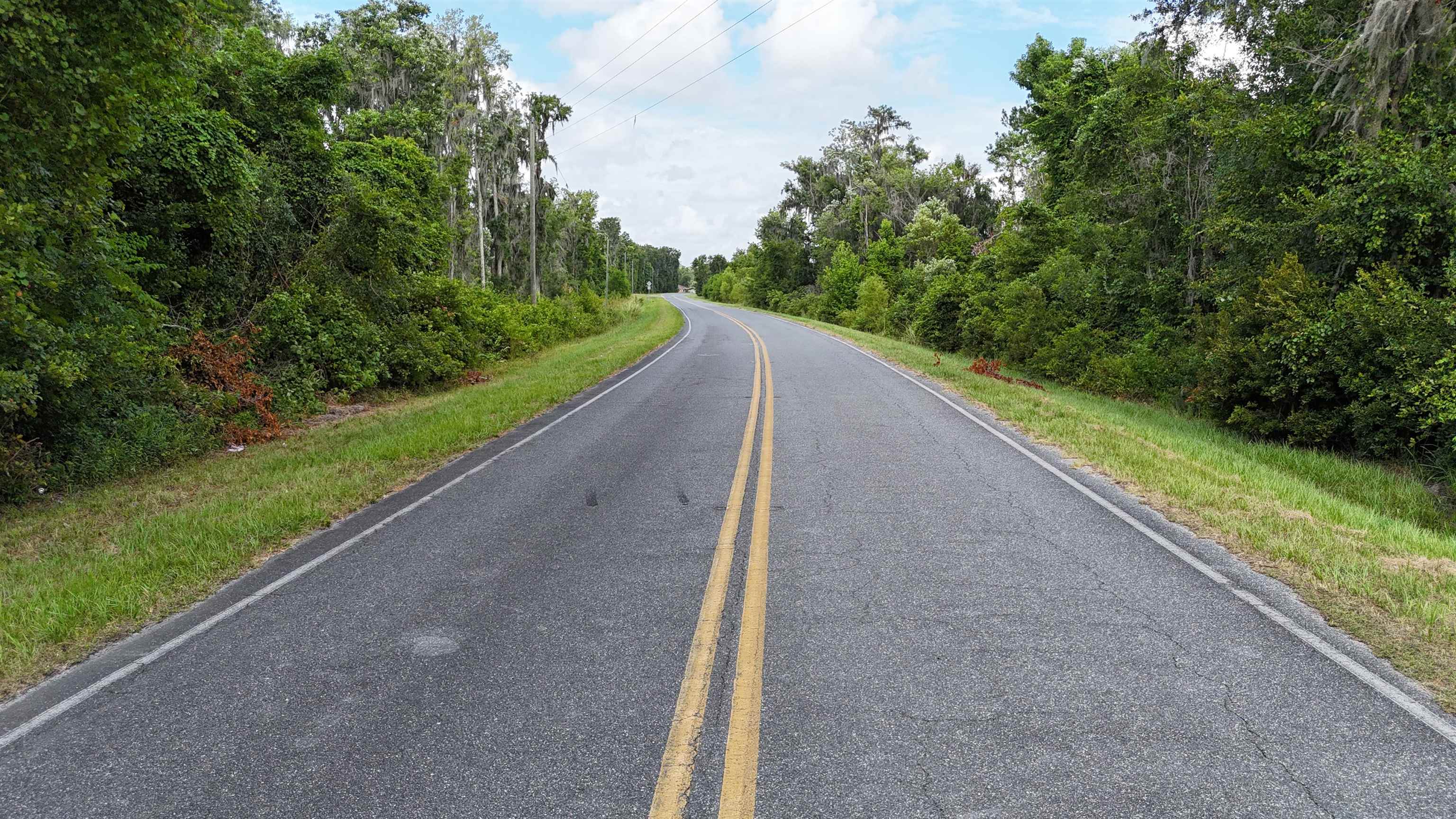 Vacant SE Cr 132, White Springs, Florida image 42