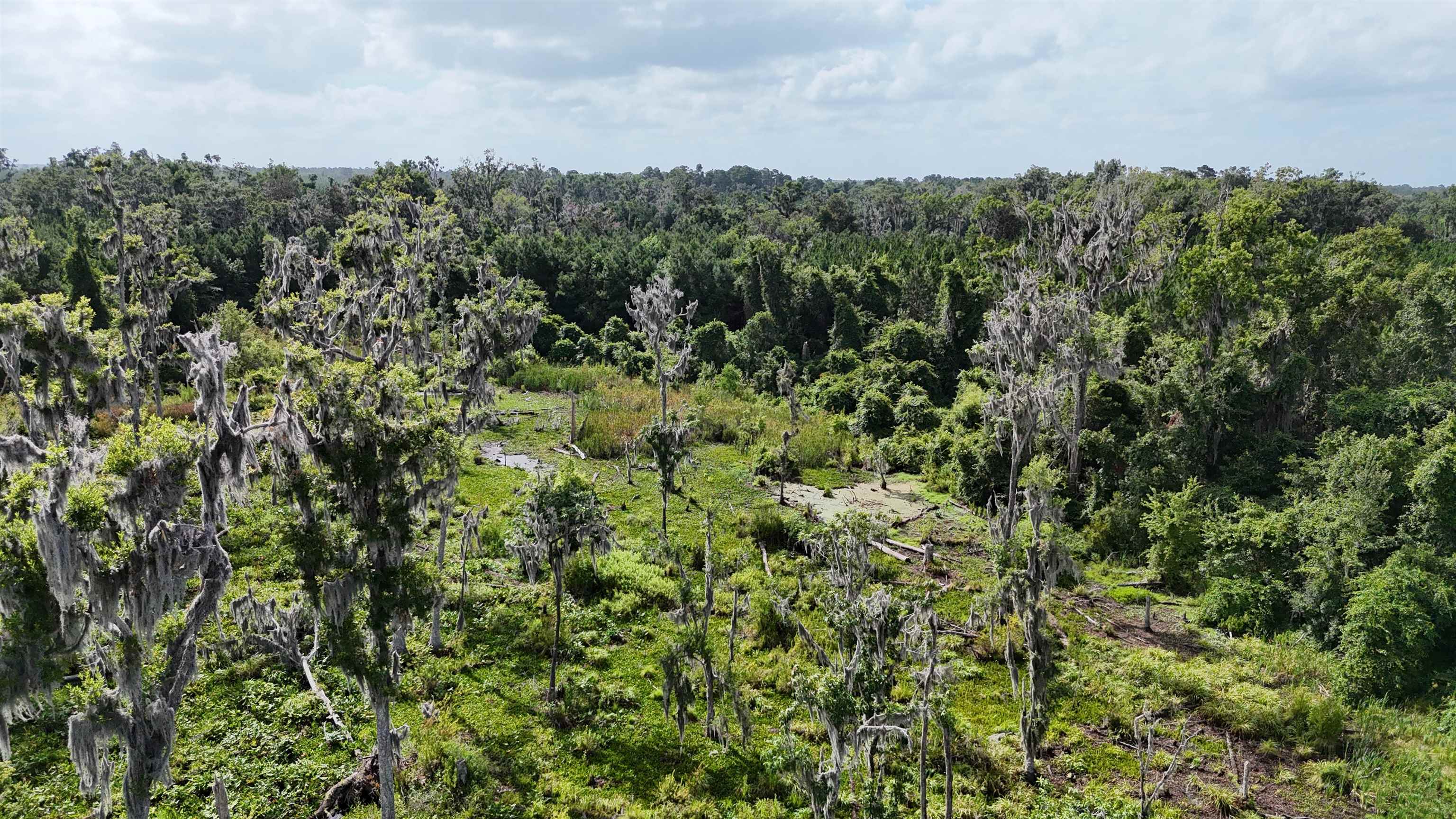 Vacant SE Cr 132, White Springs, Florida image 9