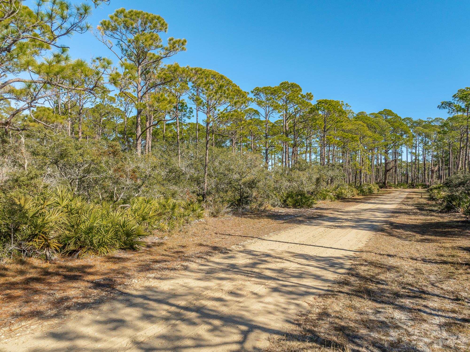 1460 Blueberry Road, St George Islan, Texas image 10