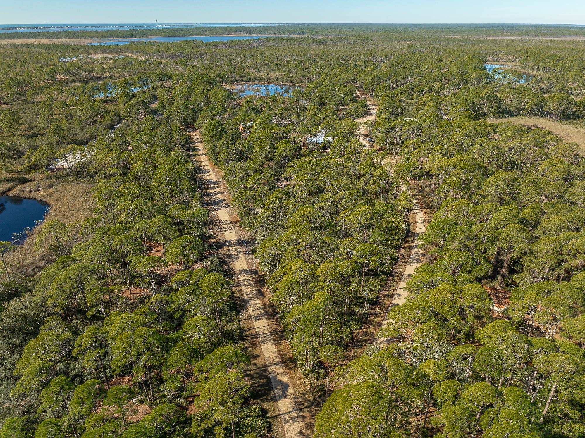 1460 Blueberry Road, St George Islan, Texas image 5