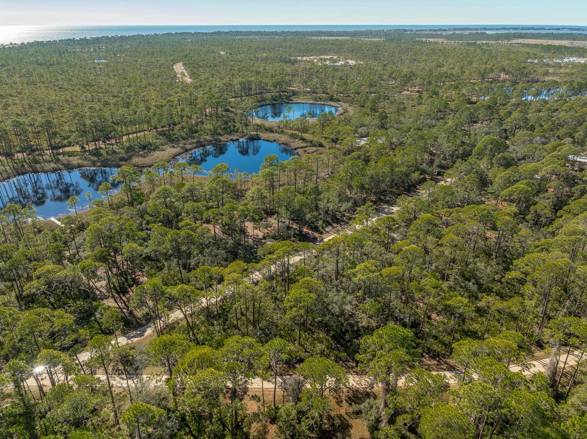 1460 Blueberry Road, St George Islan, Texas image 7