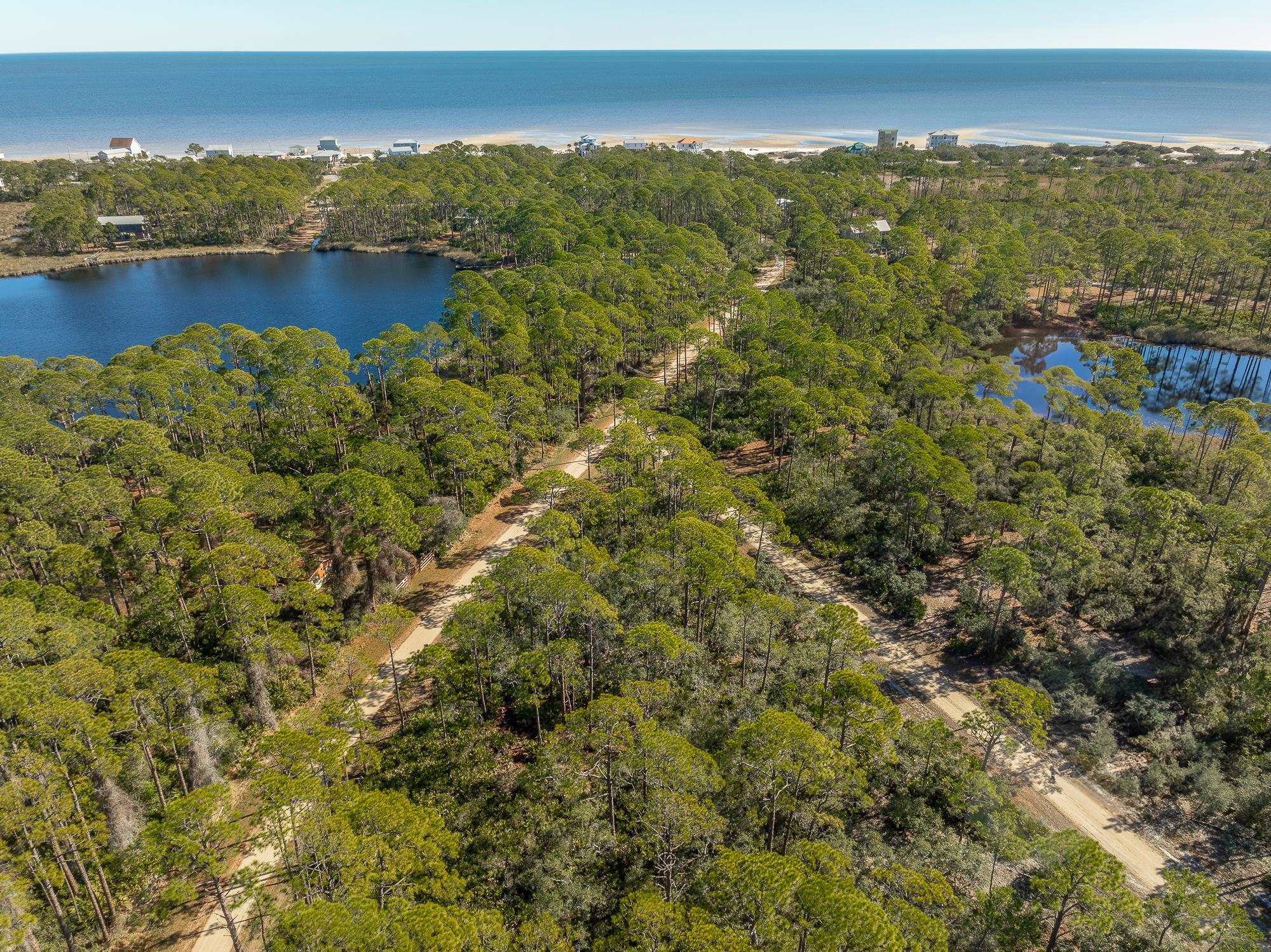 1460 Blueberry Road, St George Islan, Texas image 9