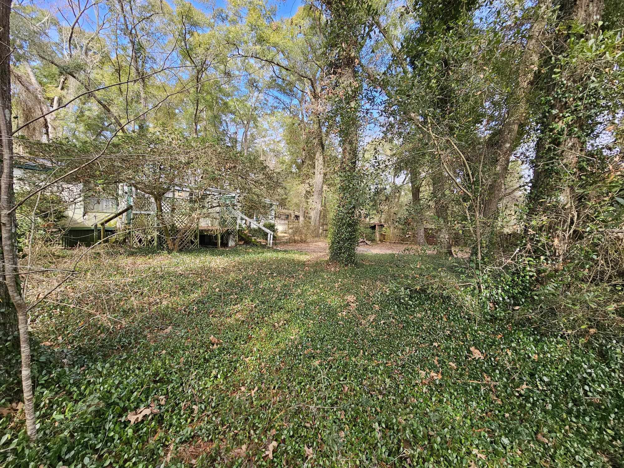 4231 Hayleigh Dee Drive, Tallahassee, Texas image 4