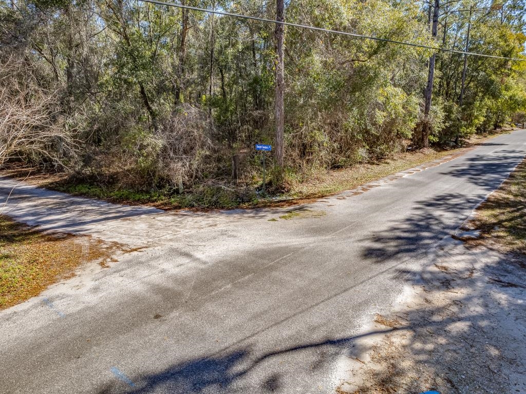 Dwight Sanders Road, Sopchoppy, Florida image 6