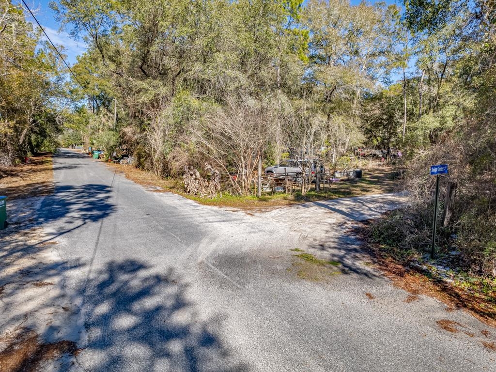 Dwight Sanders Road, Sopchoppy, Florida image 7