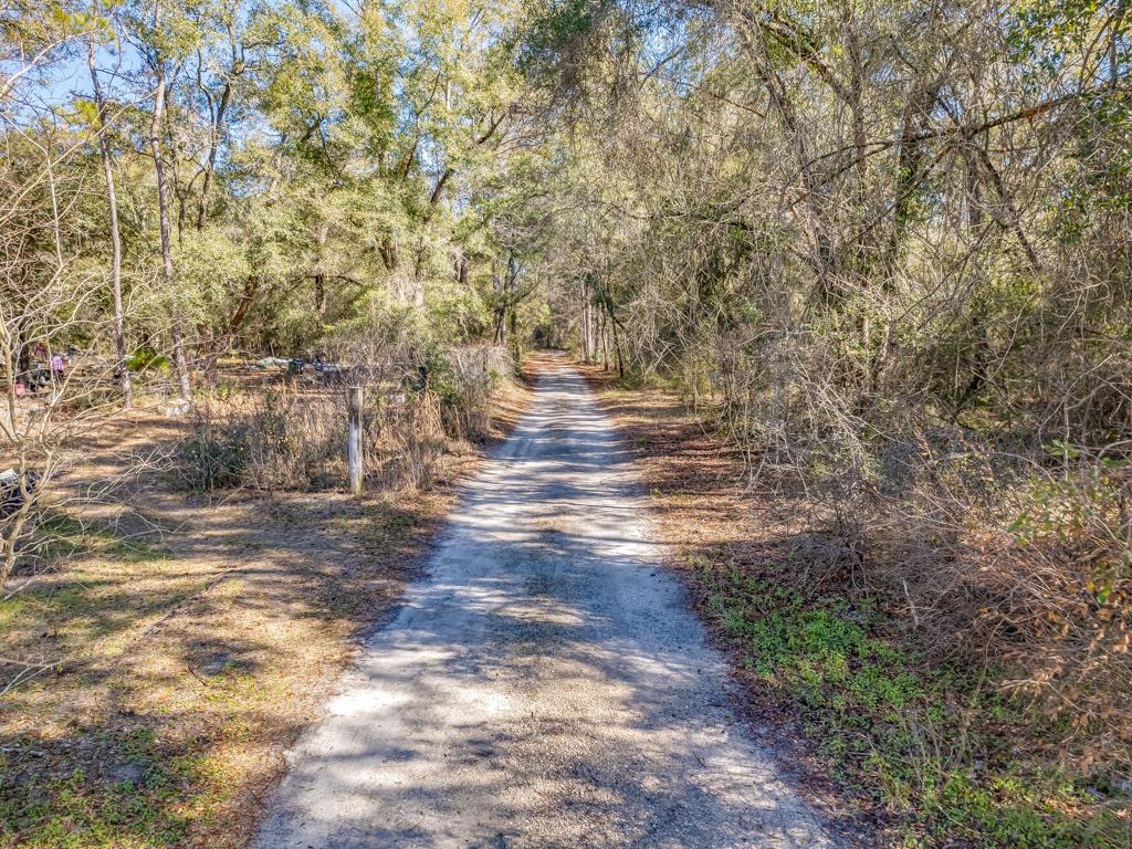 Dwight Sanders Road, Sopchoppy, Florida image 8