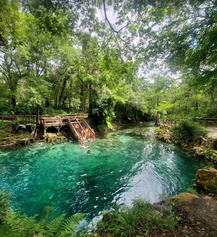 Vacant NE River Ridge Way, Lee, Texas image 4