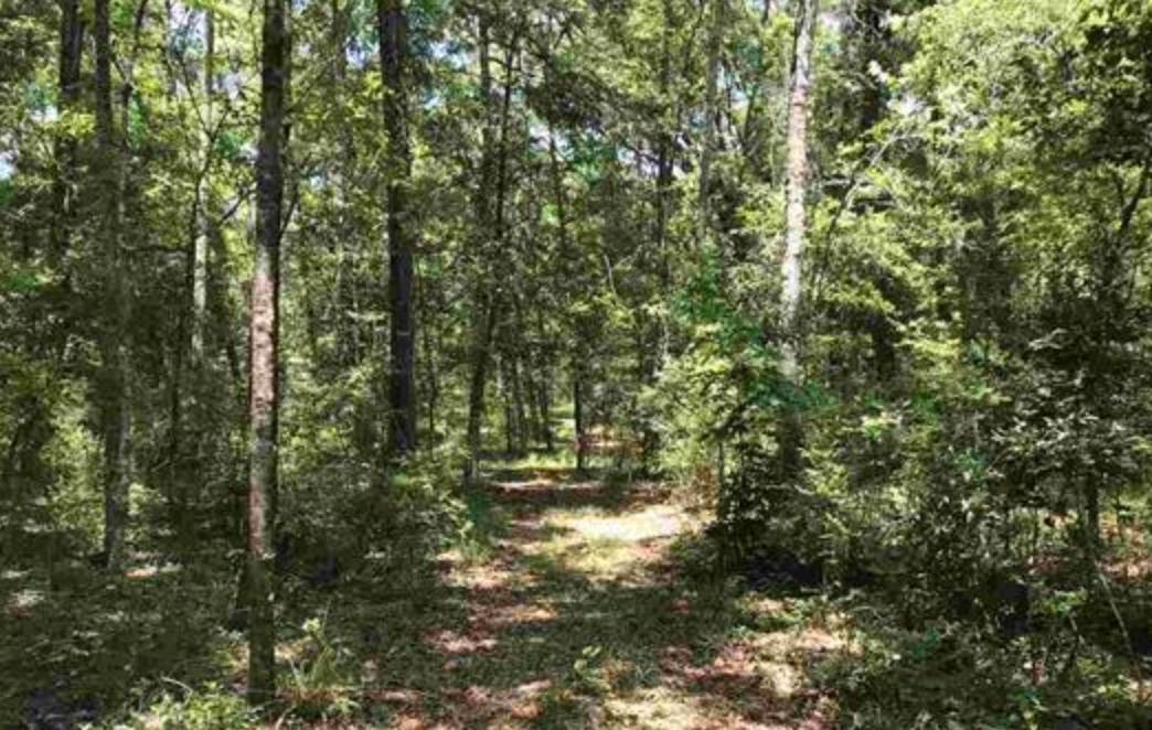 Vacant NE River Ridge Way, Lee, Texas image 5