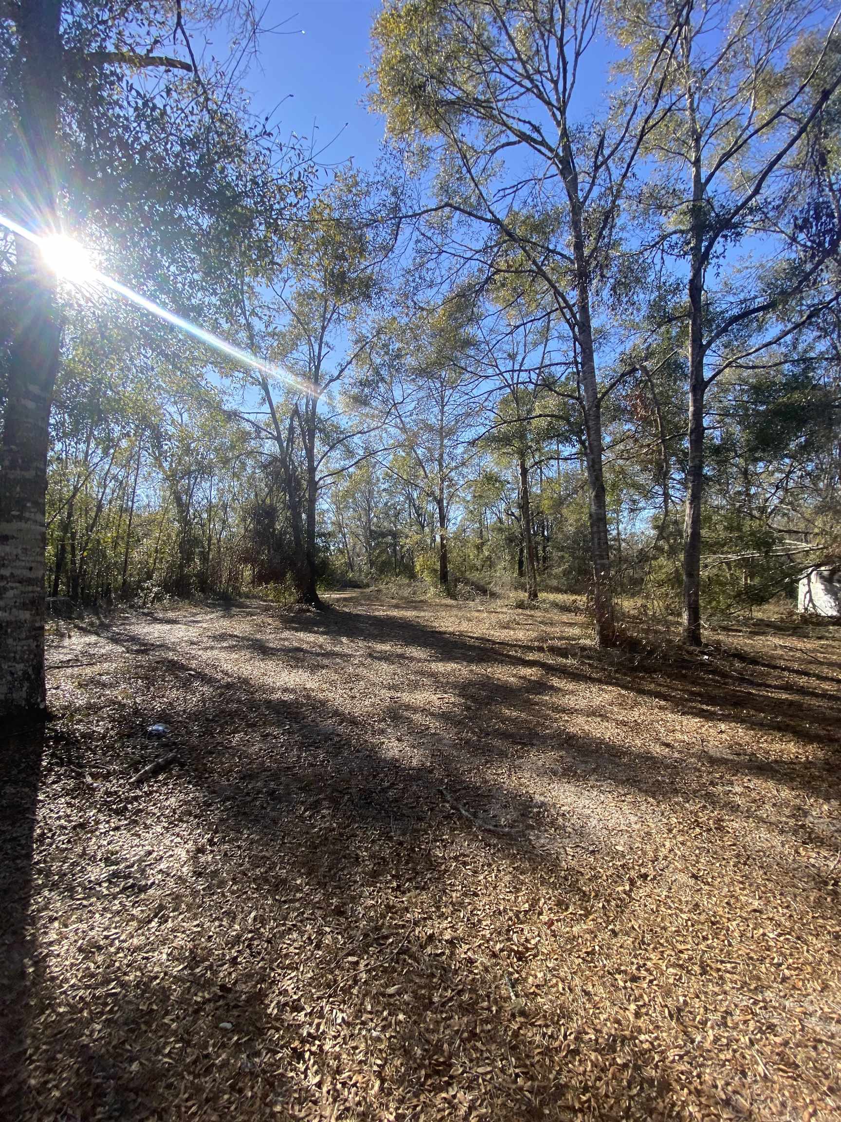 6380 Ira L. Smith Road, Greenville, Texas image 1