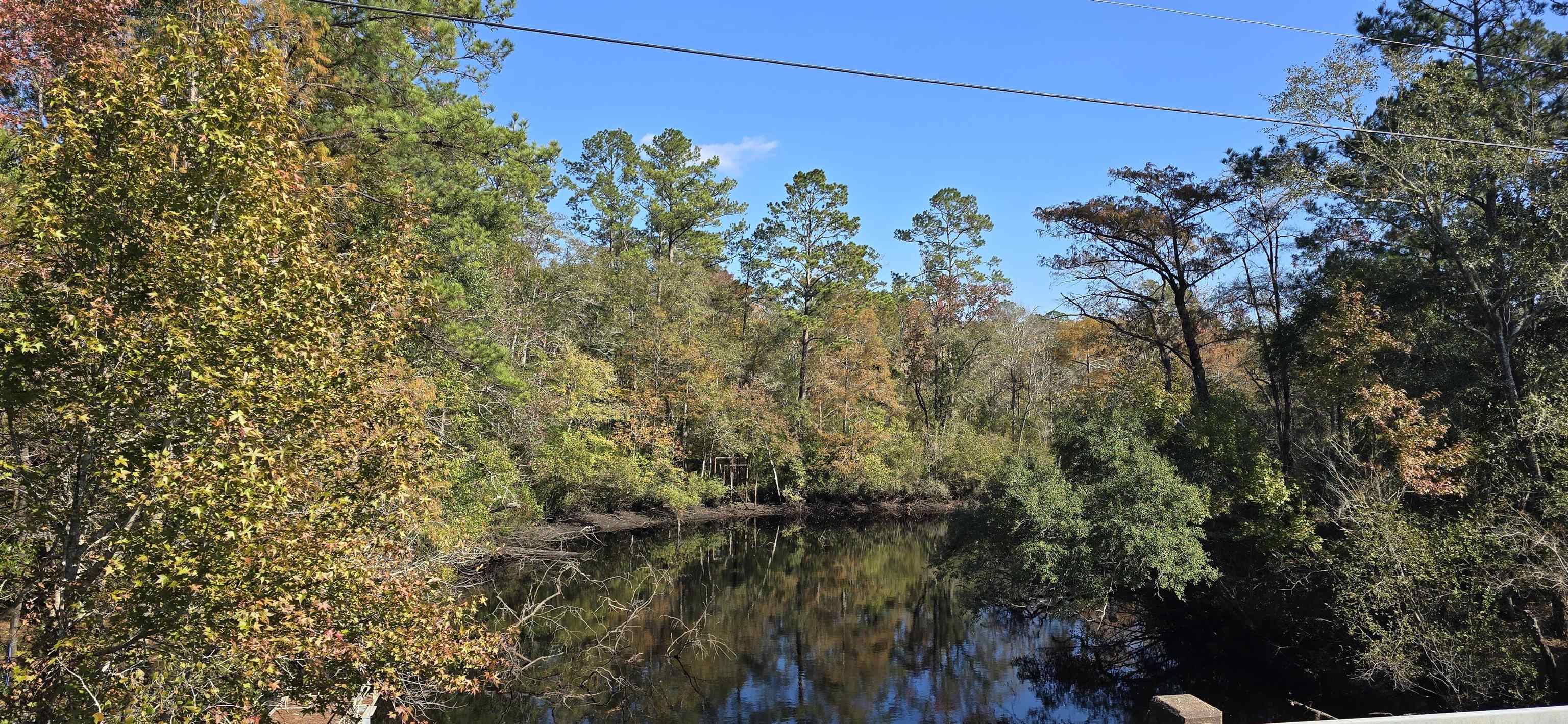 Cherokee Drive, Sopchoppy, Florida image 1