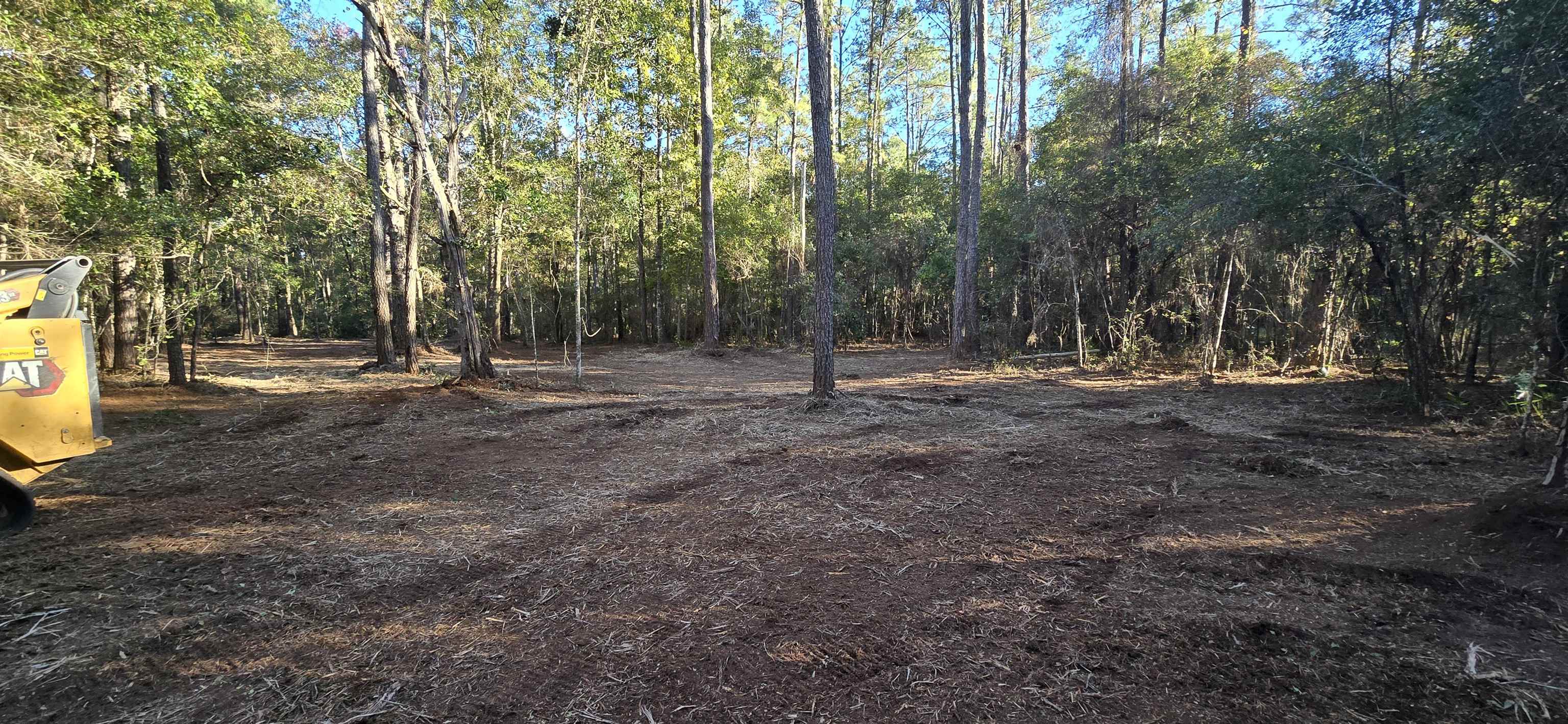 Cherokee Drive, Sopchoppy, Florida image 17