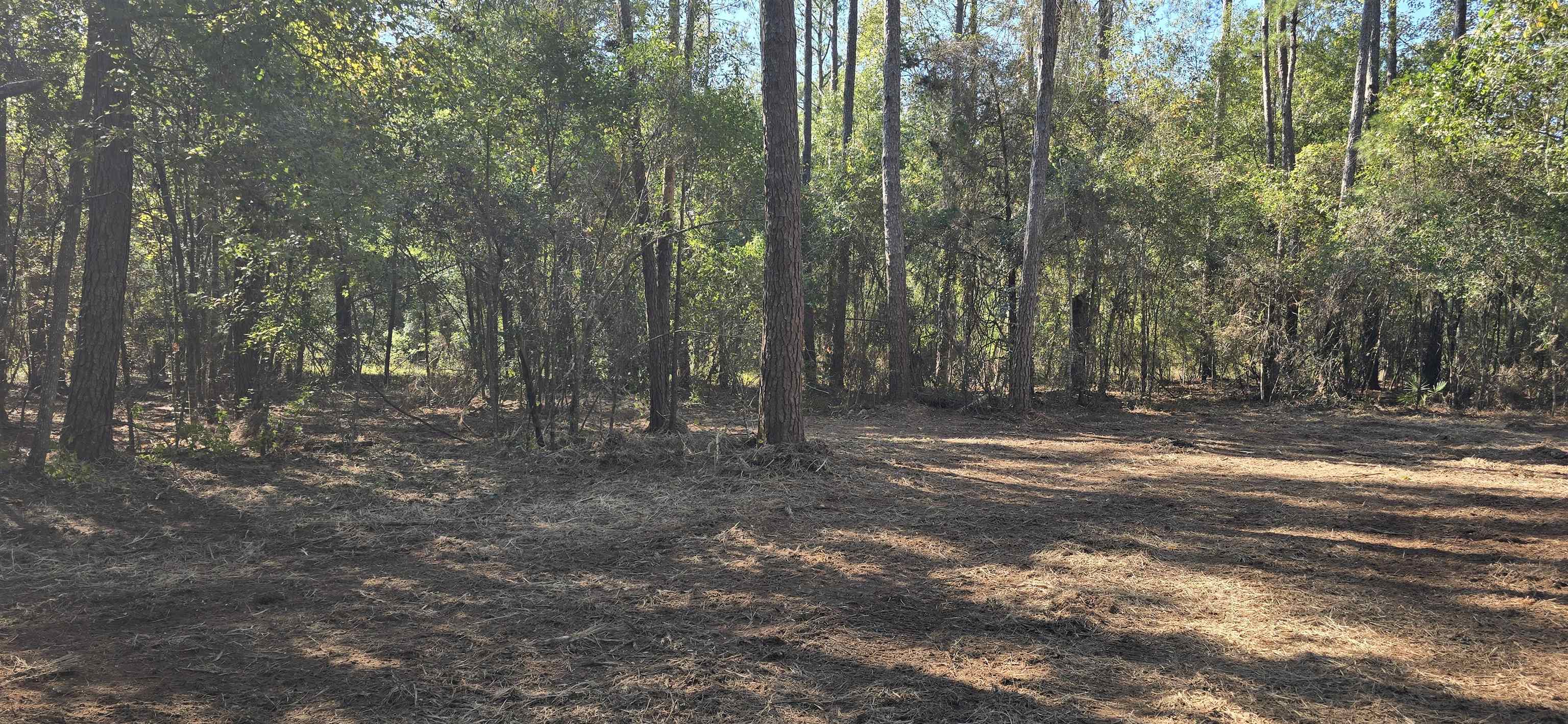 Cherokee Drive, Sopchoppy, Florida image 9