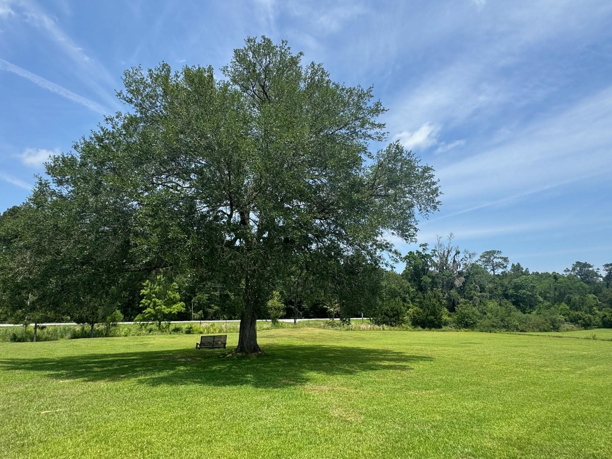 101 Willow Ridge Circle, Thomasville, Georgia image 4