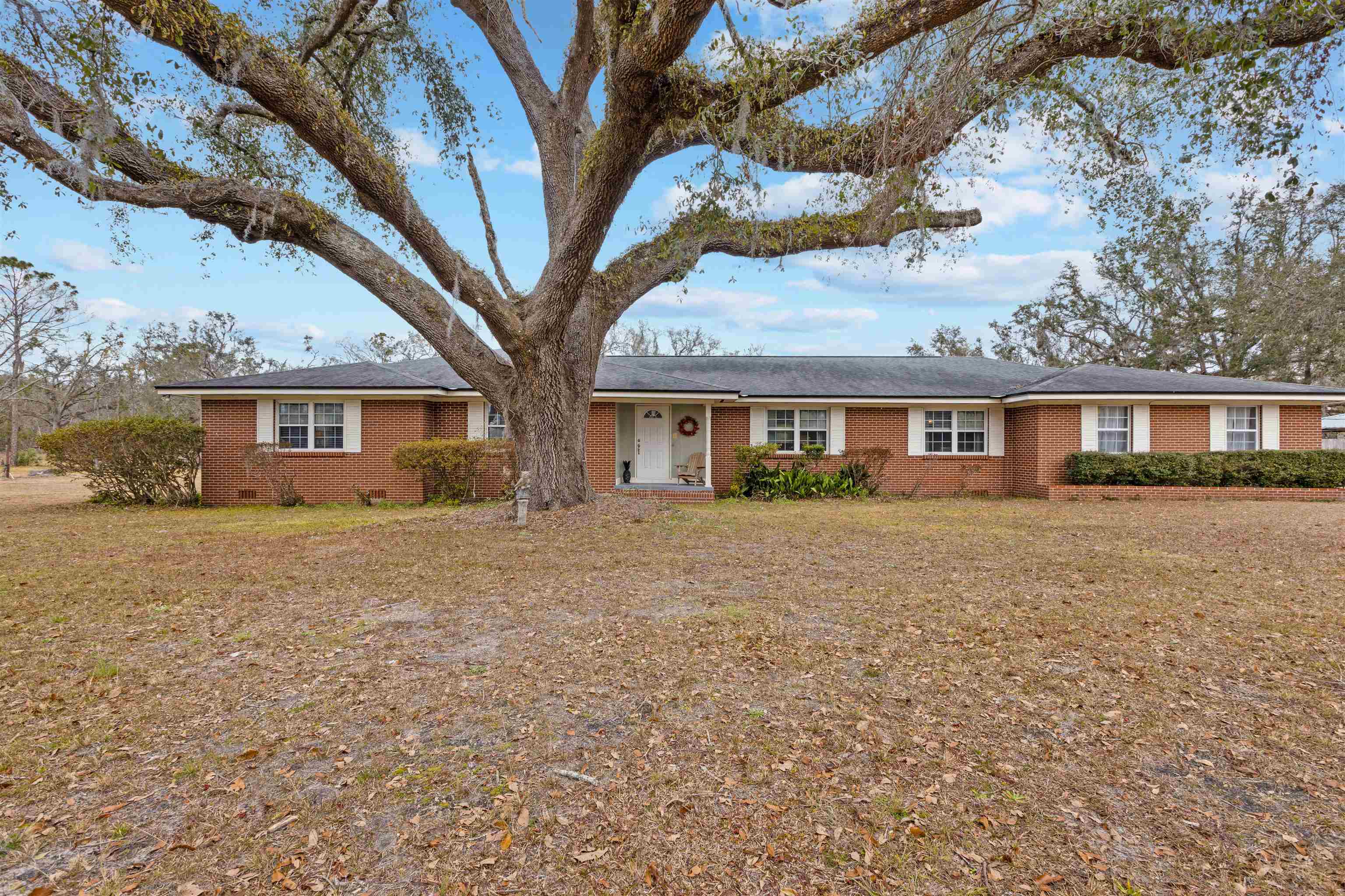3188 San Pedro Road, Perry, Florida image 13