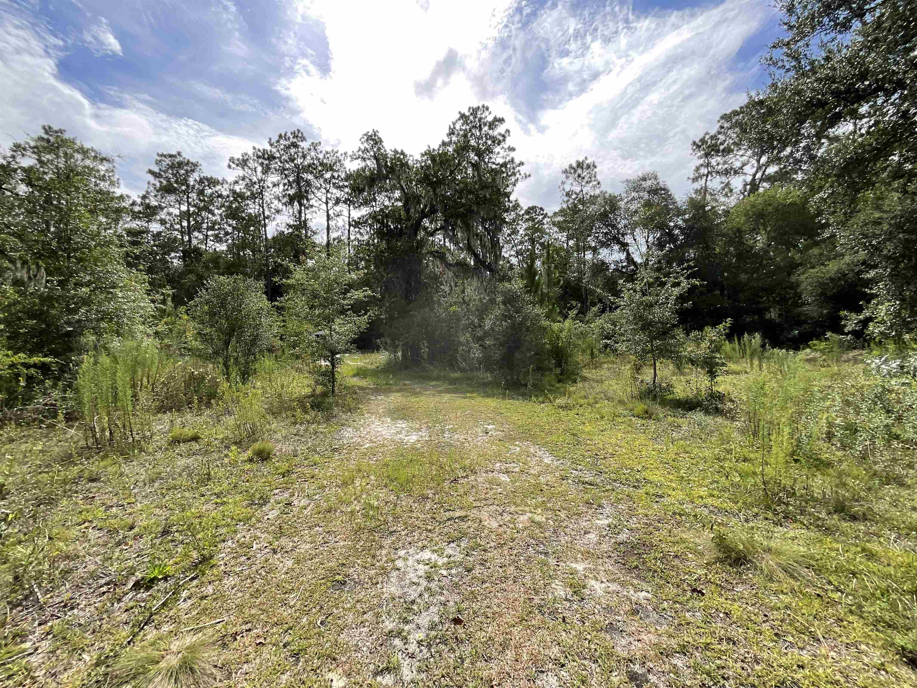 Vacant *Lot 58* NE Blackjack Loop #1, Lee, Florida image 10
