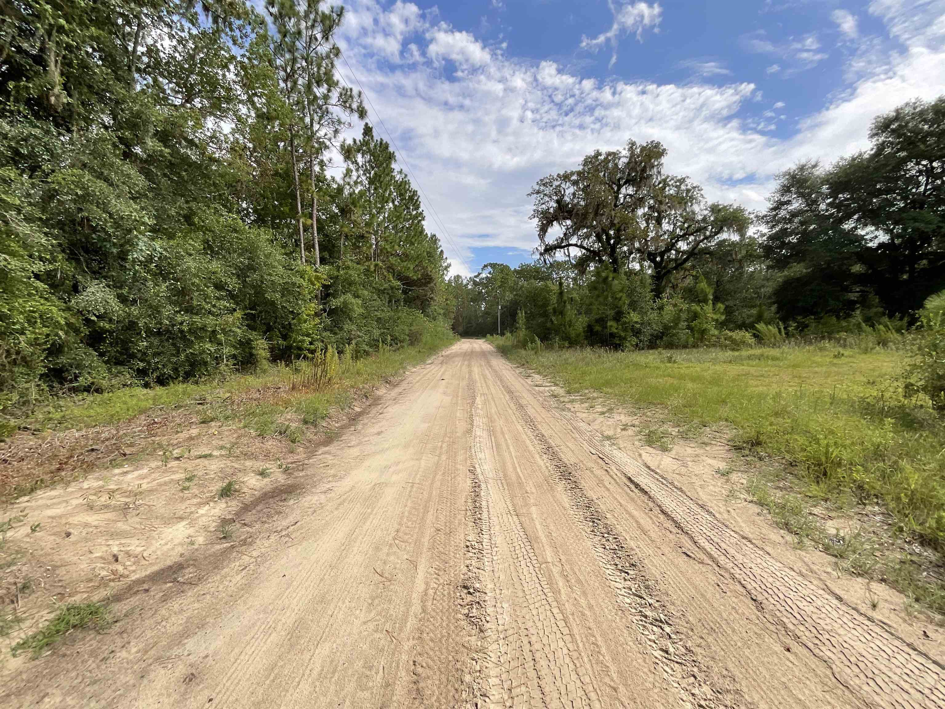 Vacant *Lot 58* NE Blackjack Loop #1, Lee, Texas image 13