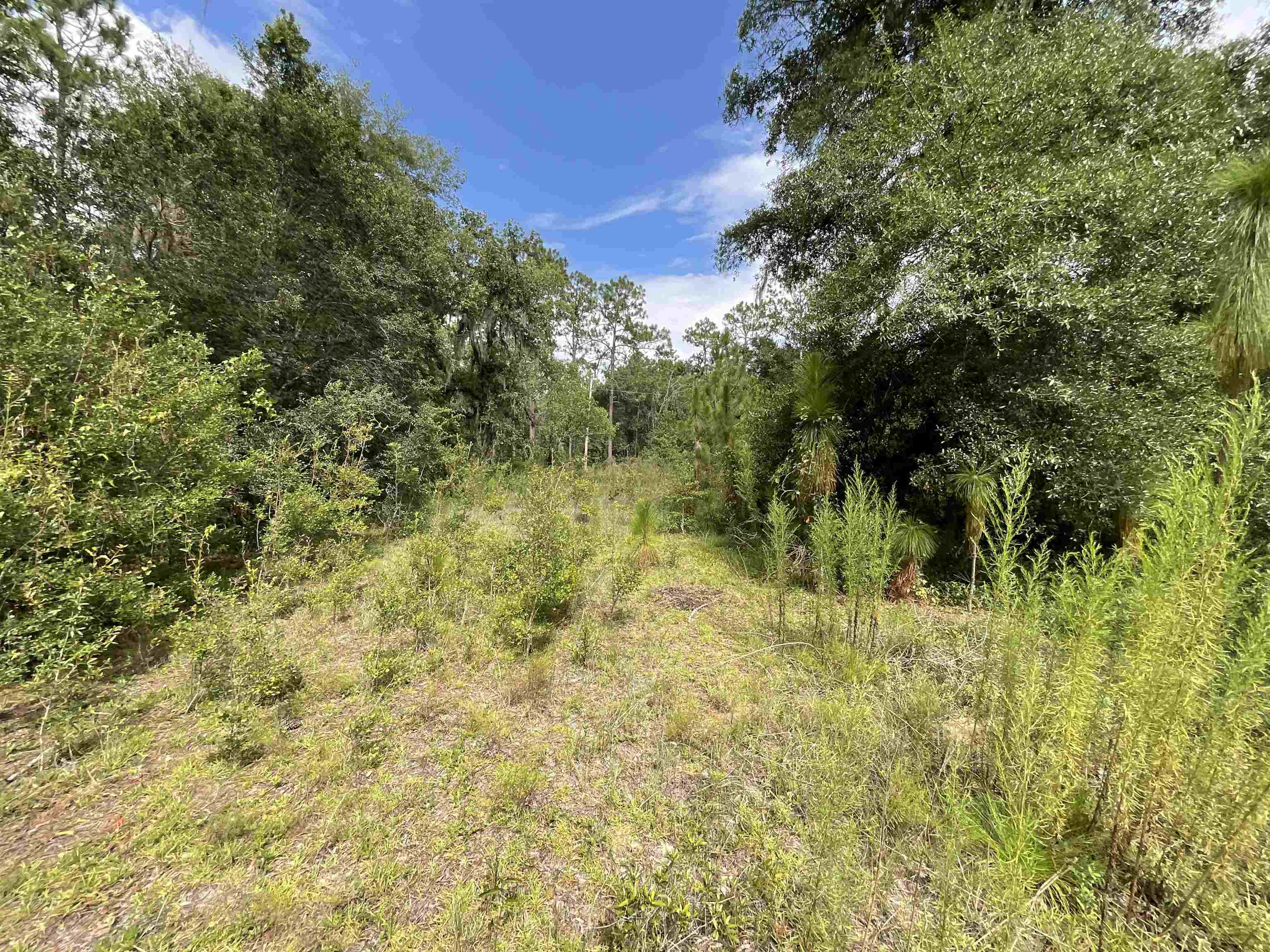 Vacant *Lot 58* NE Blackjack Loop #1, Lee, Florida image 16