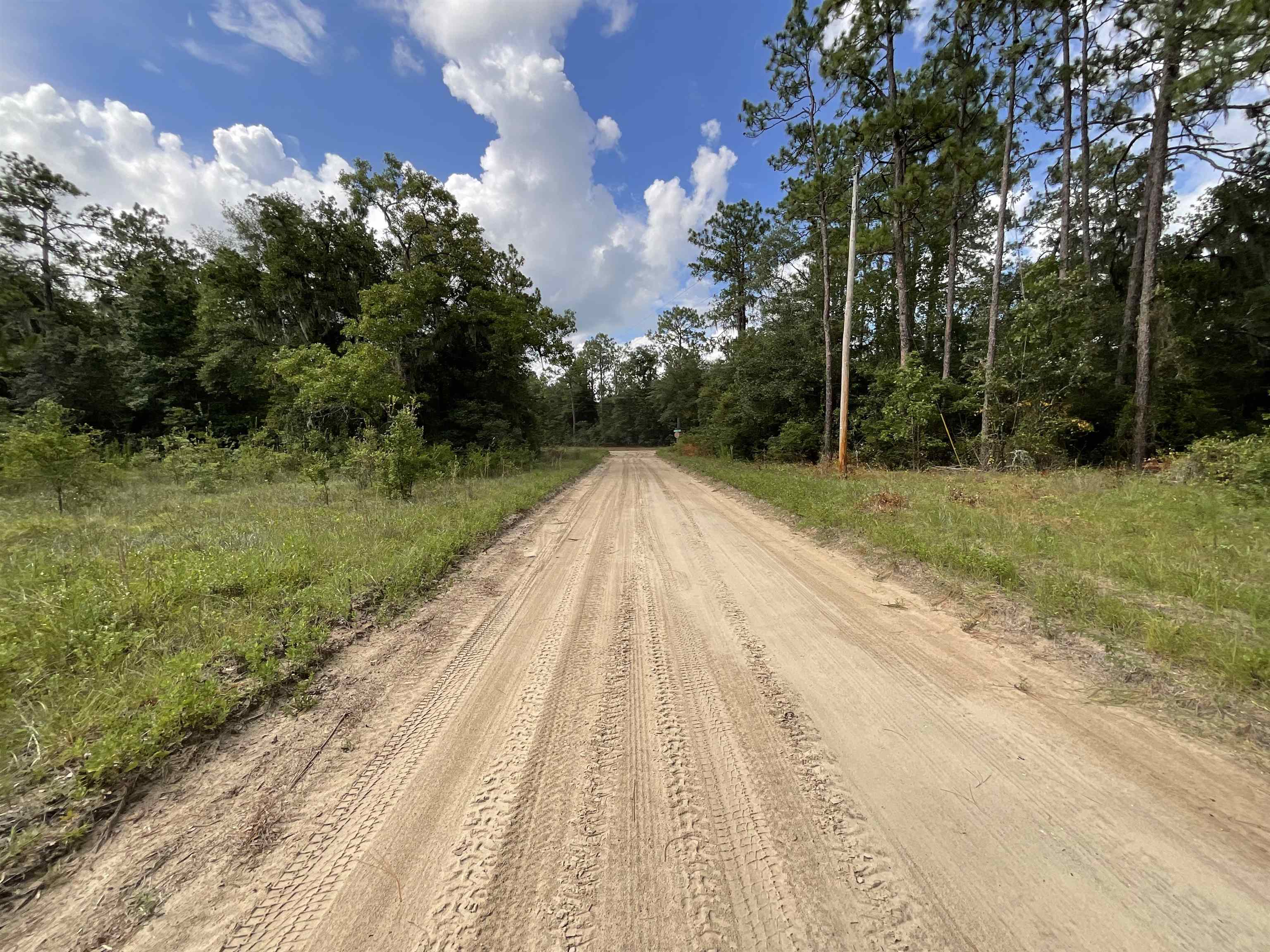 Vacant *Lot 58* NE Blackjack Loop #1, Lee, Texas image 6