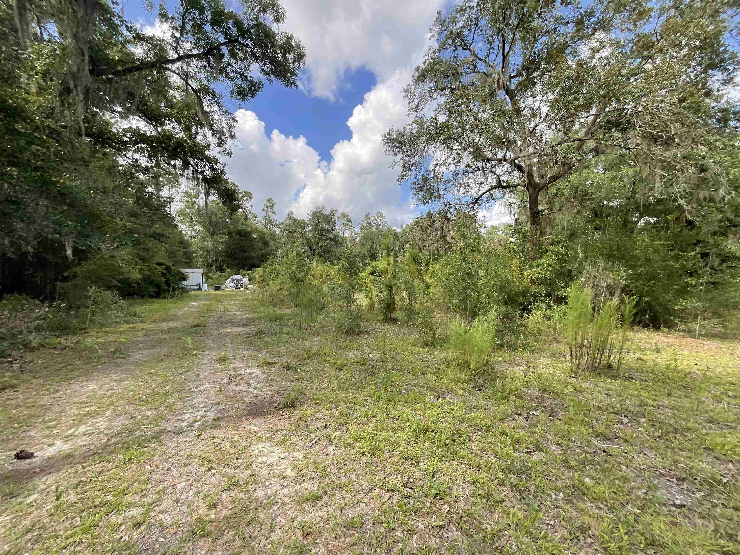*Lot 57* Vacant NE Blackjack Loop #1, Lee, Florida image 15