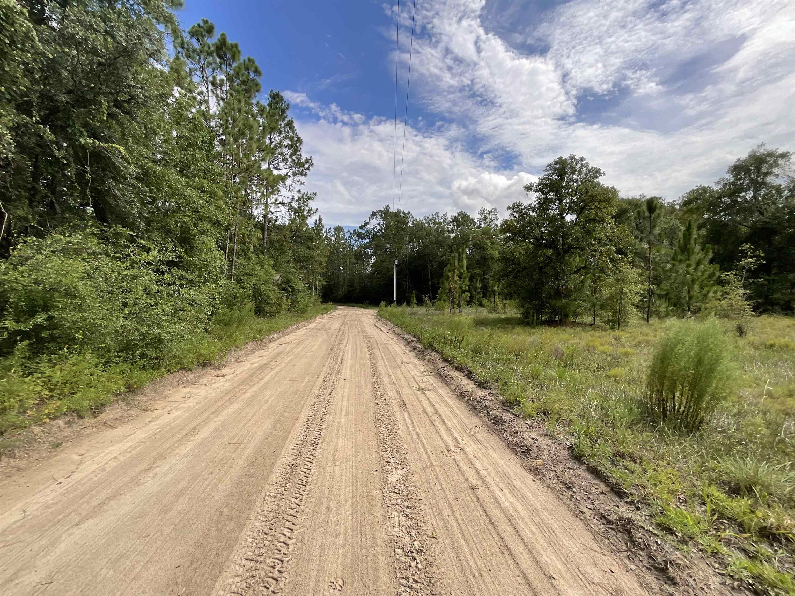 *Lot 57* Vacant NE Blackjack Loop #1, Lee, Florida image 16