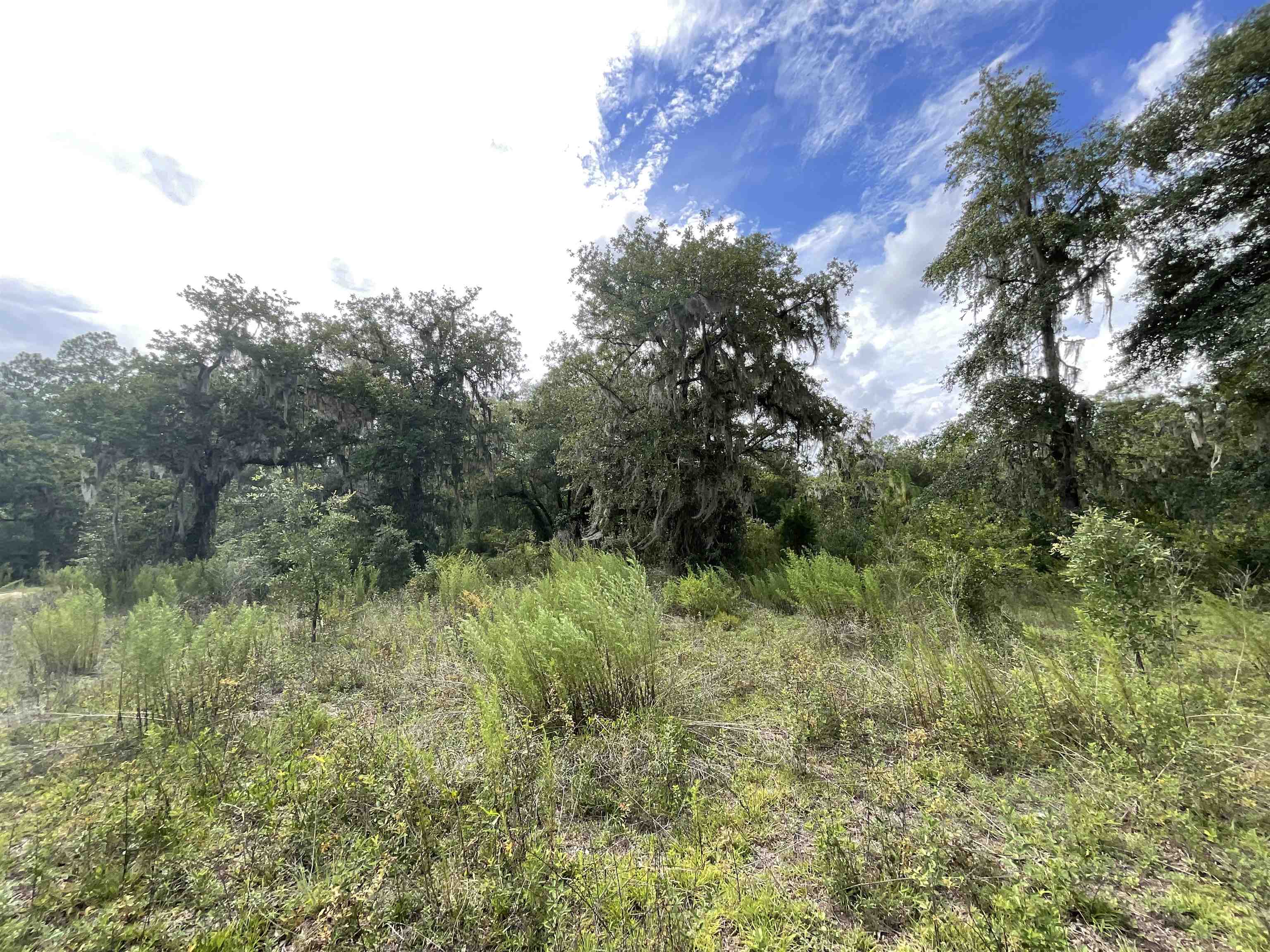 *Lot 57* Vacant NE Blackjack Loop #1, Lee, Florida image 19