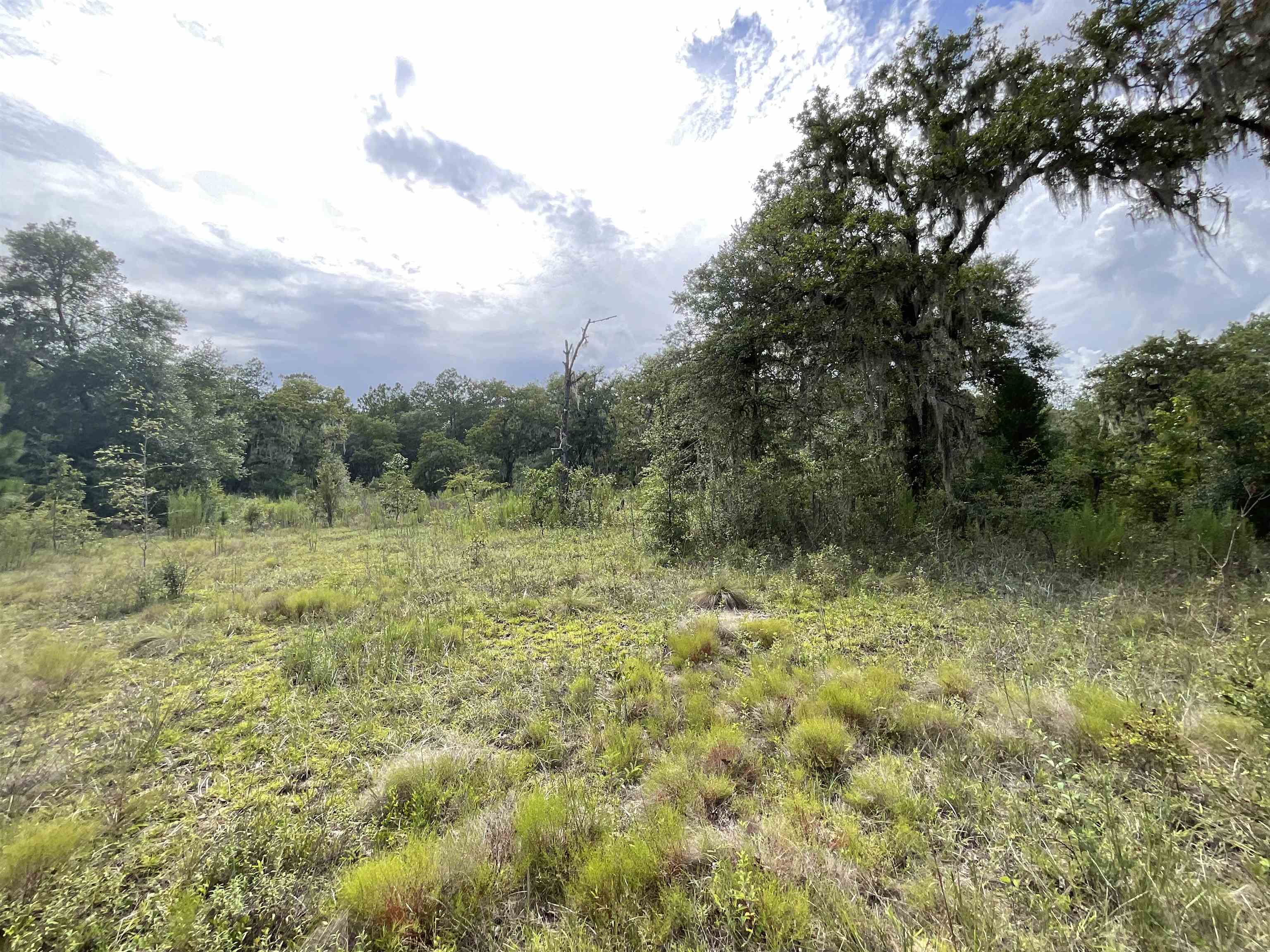 *Lot 57* Vacant NE Blackjack Loop #1, Lee, Florida image 21