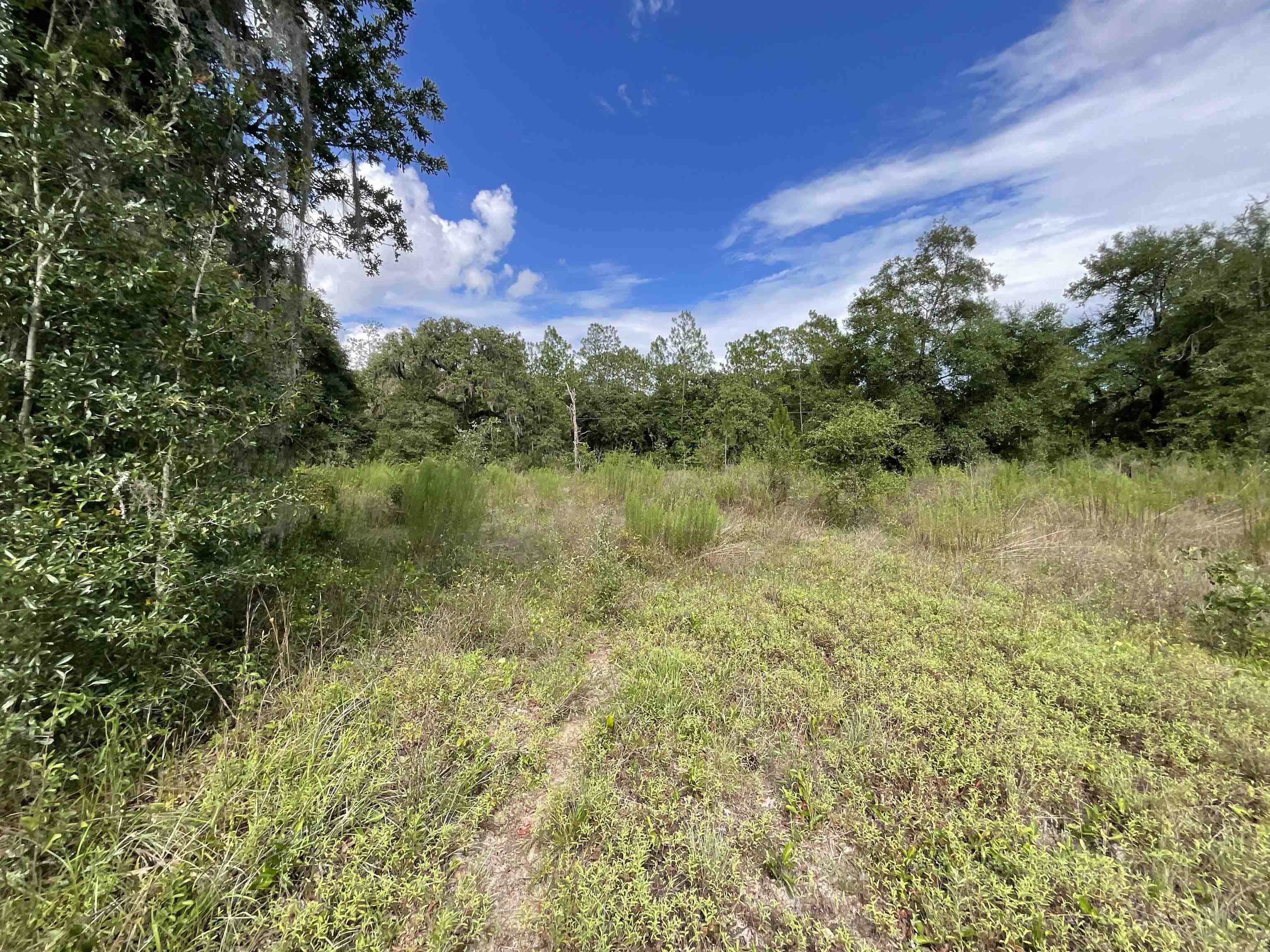 *Lot 57* Vacant NE Blackjack Loop #1, Lee, Florida image 6