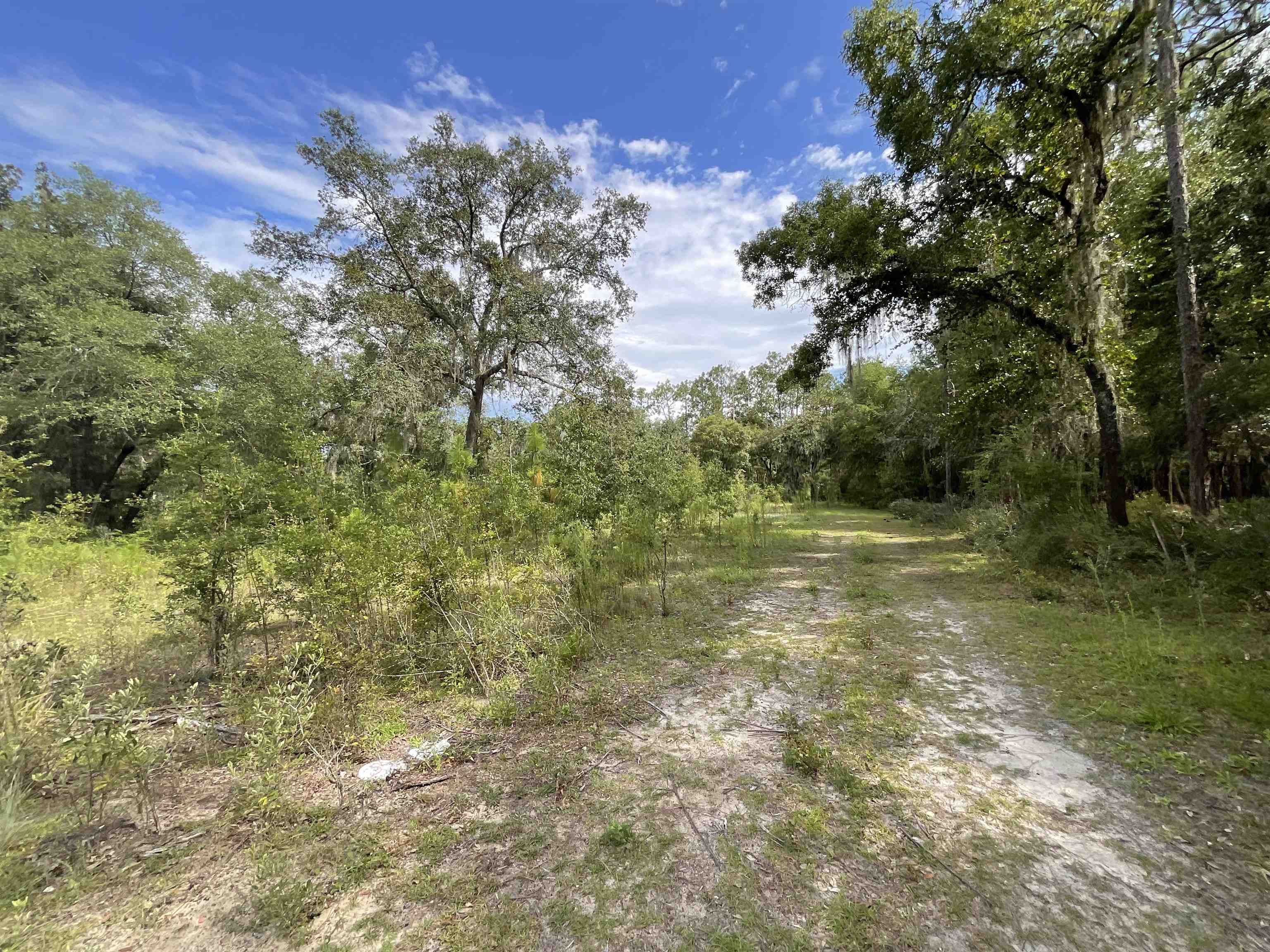 *Lot 57* Vacant NE Blackjack Loop #1, Lee, Florida image 7