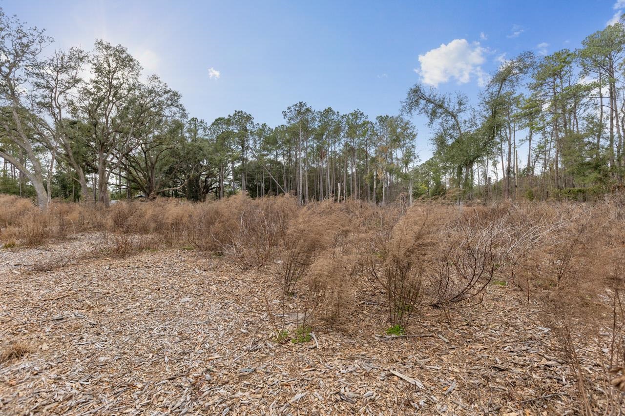 00 Cardinal Lane, Monticello, Florida image 7