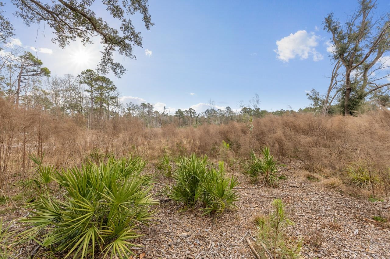 00 Cardinal Lane, Monticello, Florida image 9