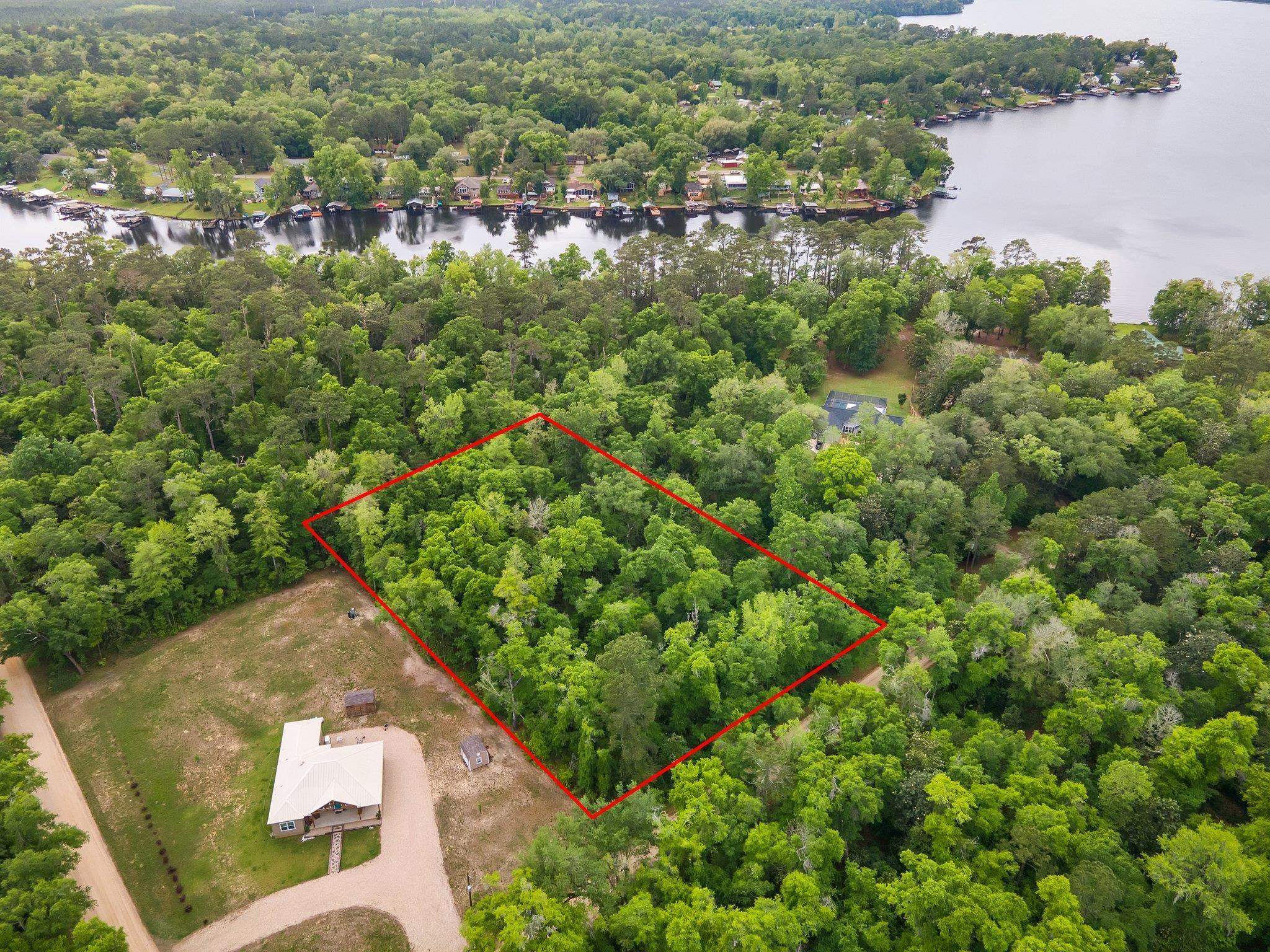 Parramore Shores Rd Lot 44, Tallahassee, Florida image 1