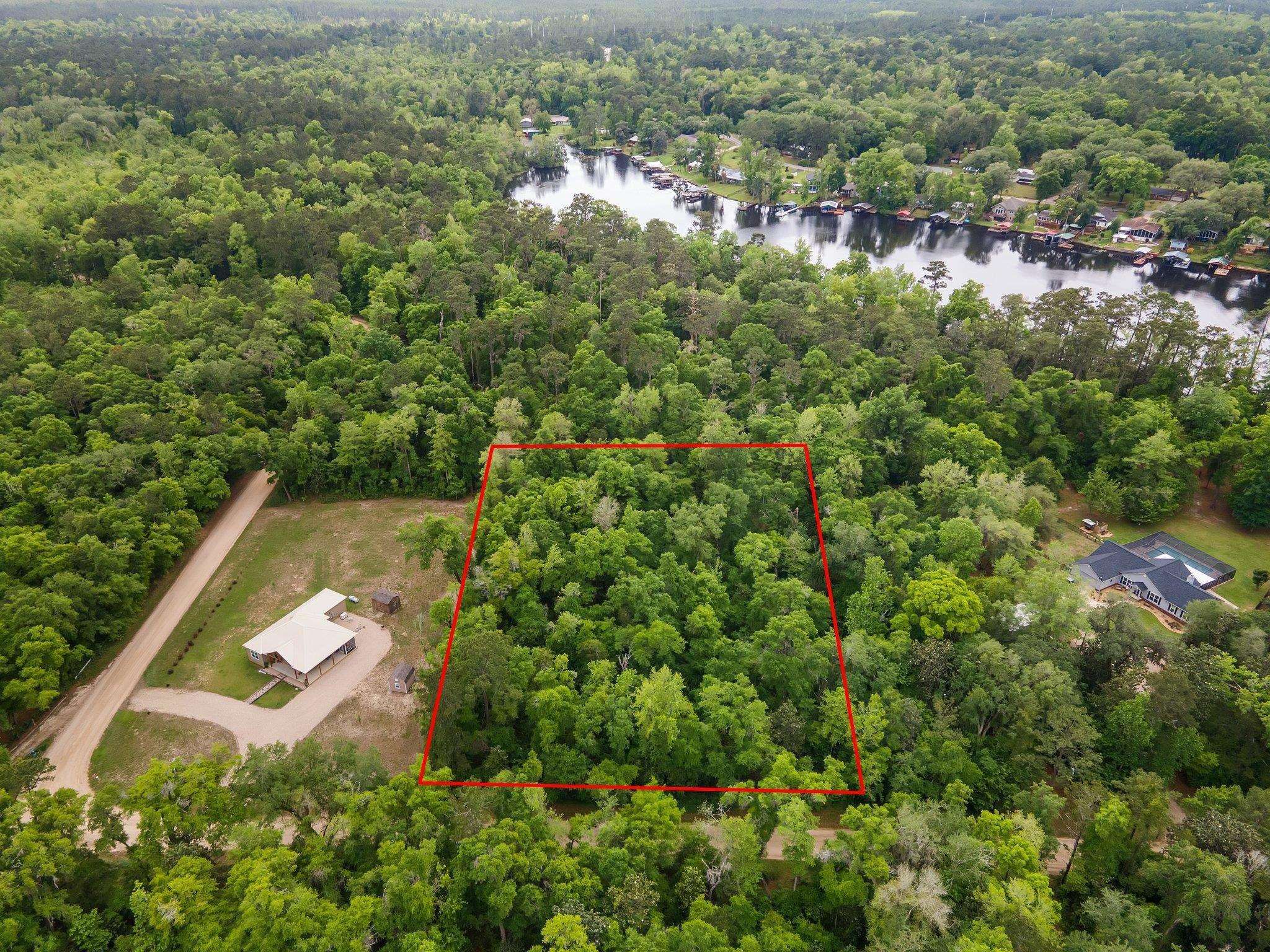 Parramore Shores Rd Lot 44, Tallahassee, Florida image 3