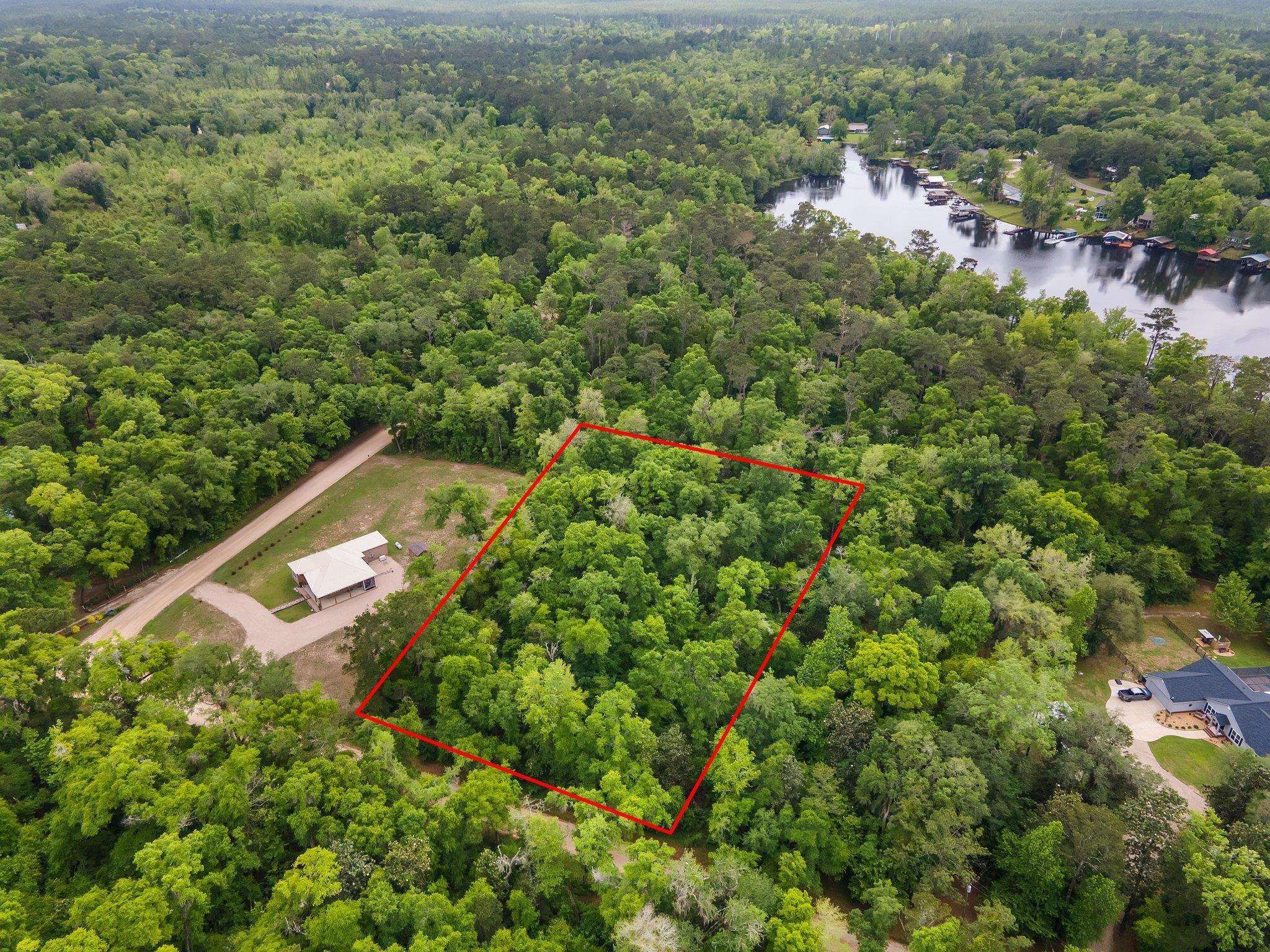 Parramore Shores Rd Lot 44, Tallahassee, Florida image 4