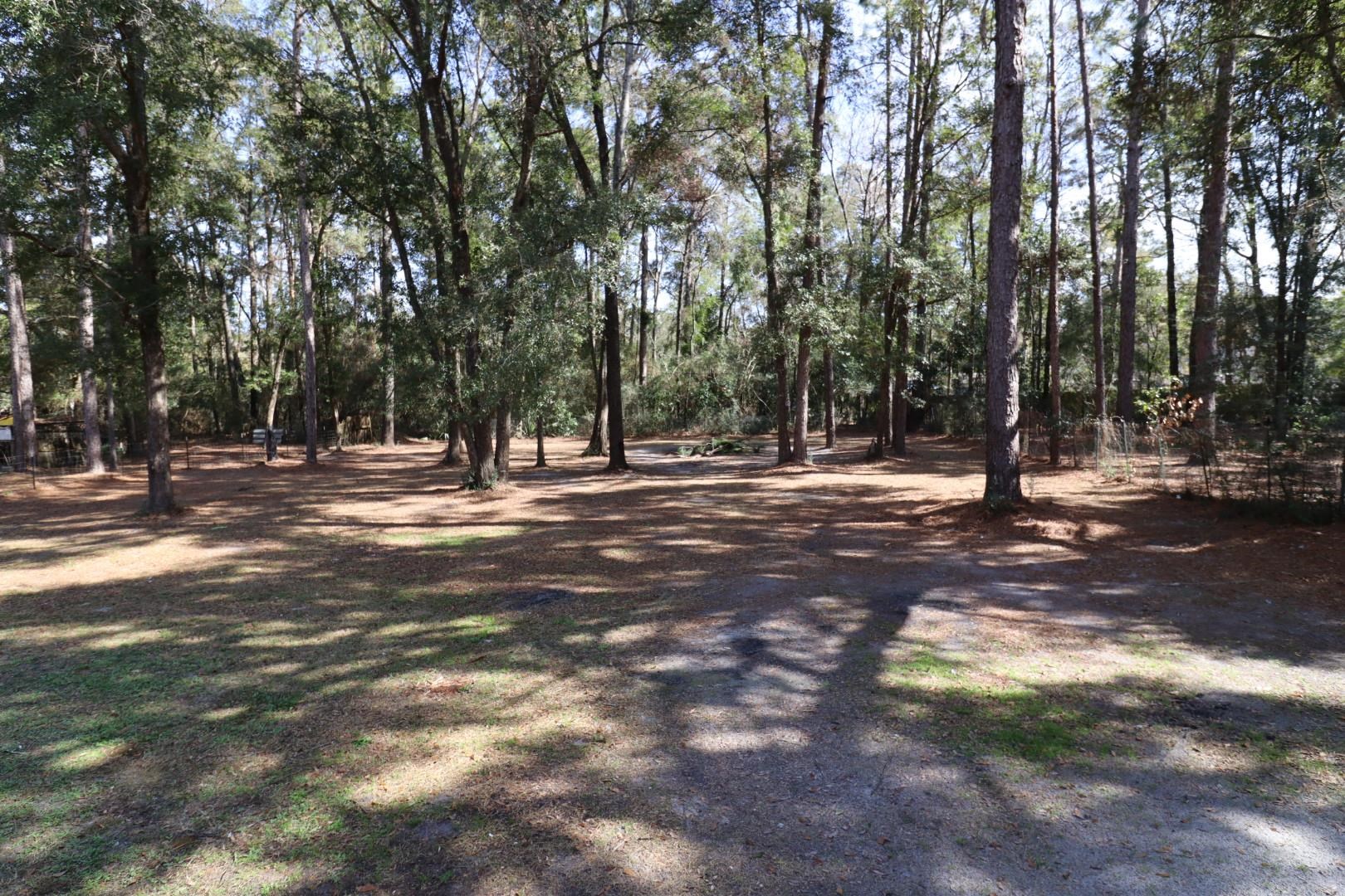 10069 Spring Sink Road, Tallahassee, Texas image 31