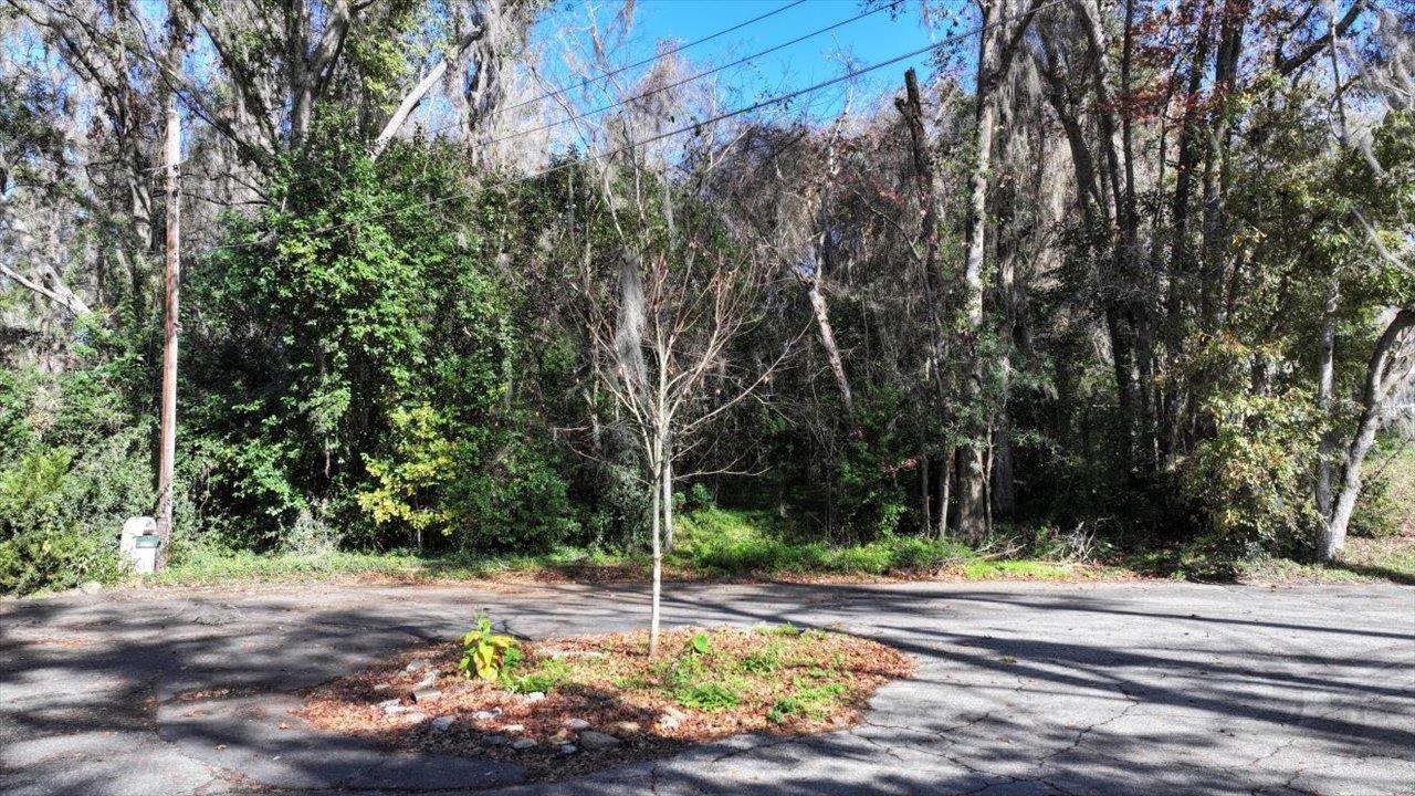 Southshore Circle, Tallahassee, Texas image 1