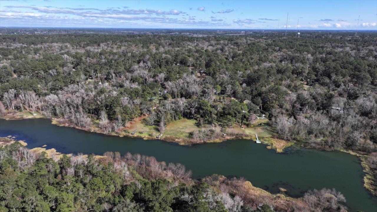 Southshore Circle, Tallahassee, Texas image 18