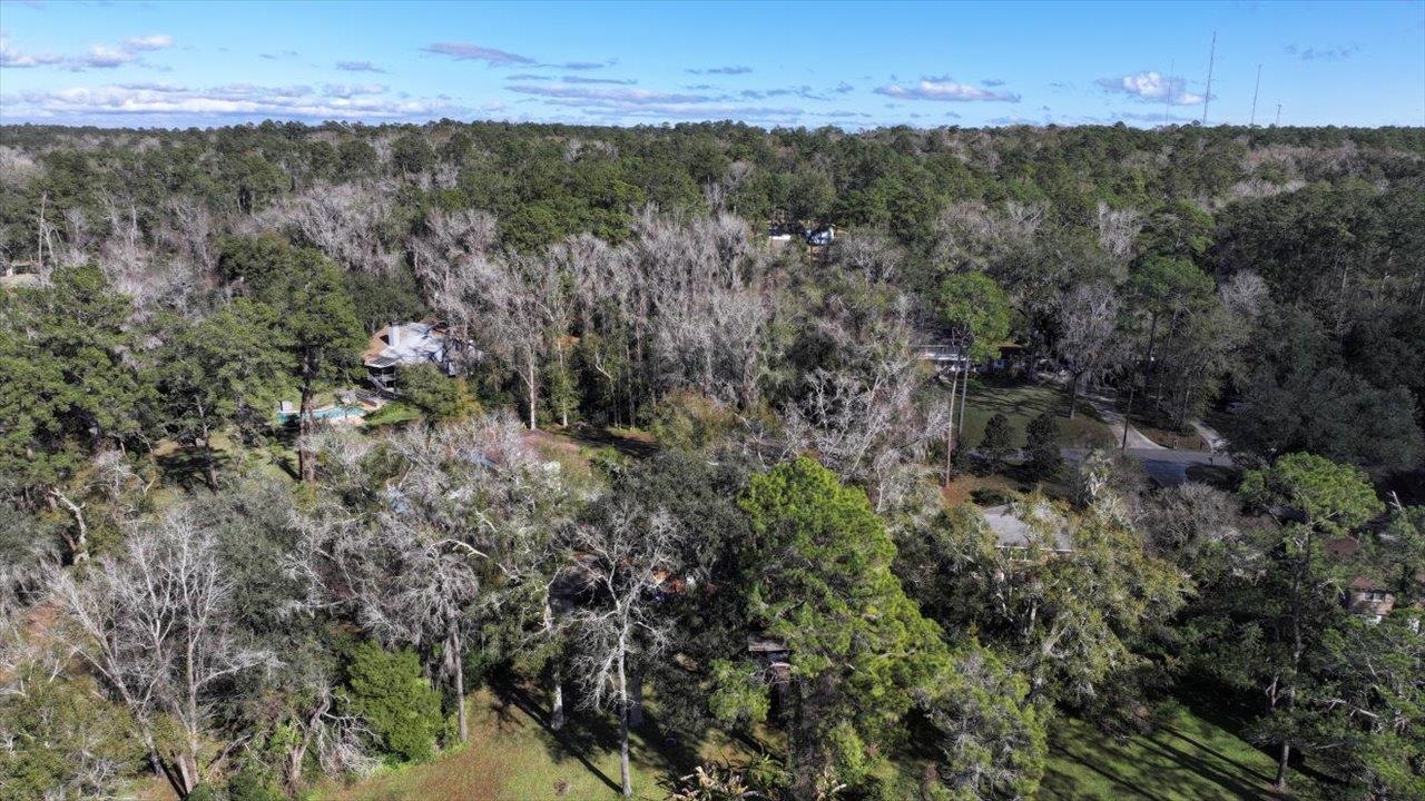 Southshore Circle, Tallahassee, Texas image 25