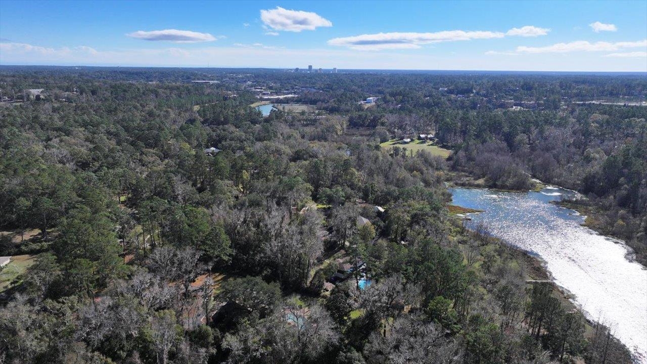 Southshore Circle, Tallahassee, Texas image 27