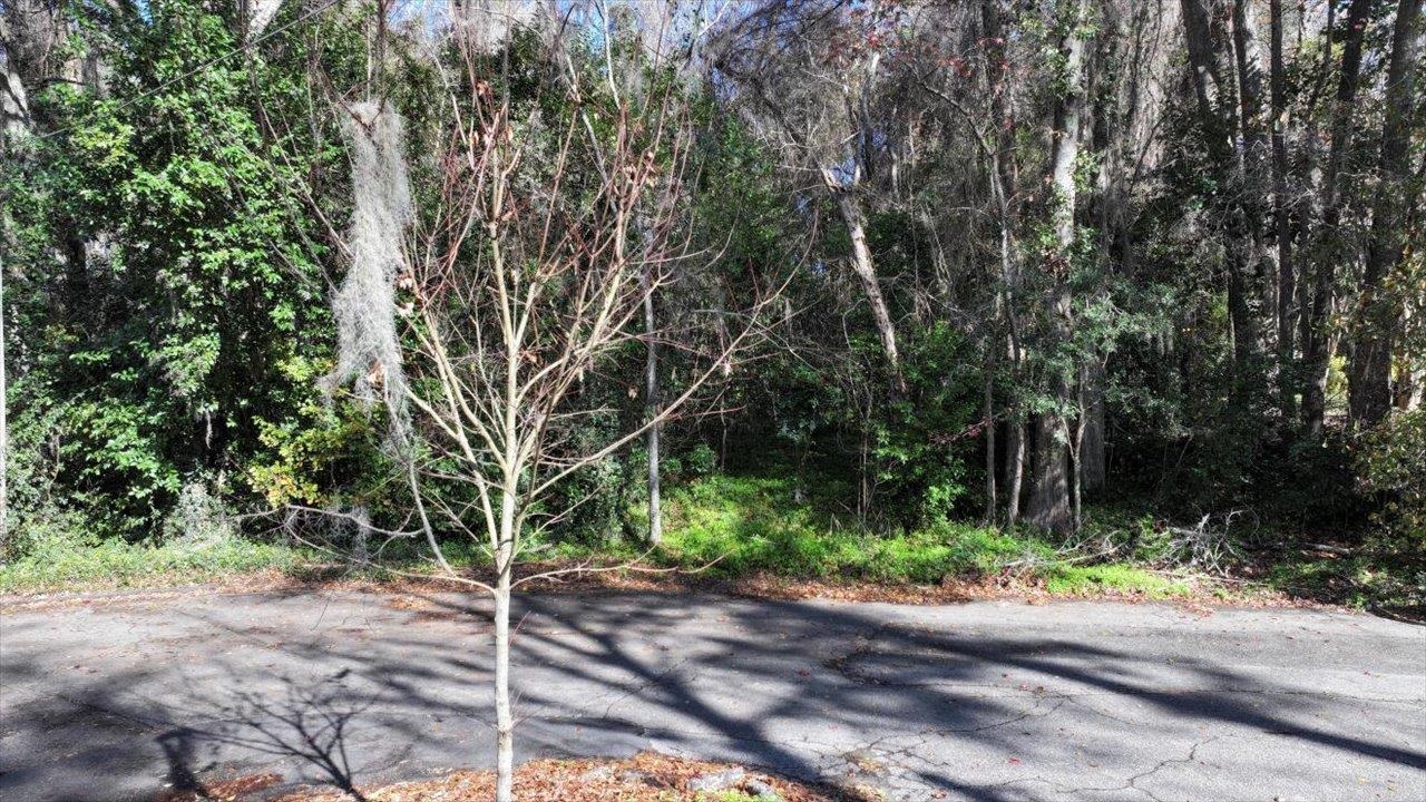 Southshore Circle, Tallahassee, Florida image 7
