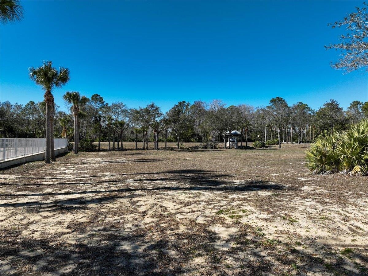 NE Rivers Bend Lot 4d Crossing #LOT 4D, Steinhatchee, Florida image 11