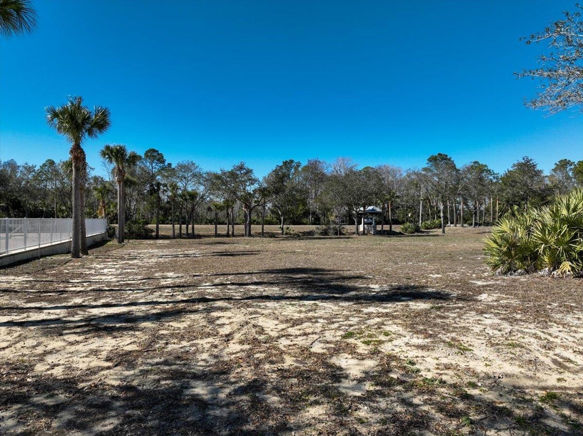 NE Rivers Bend Lot 4d Crossing #LOT 4D, Steinhatchee, Texas image 11