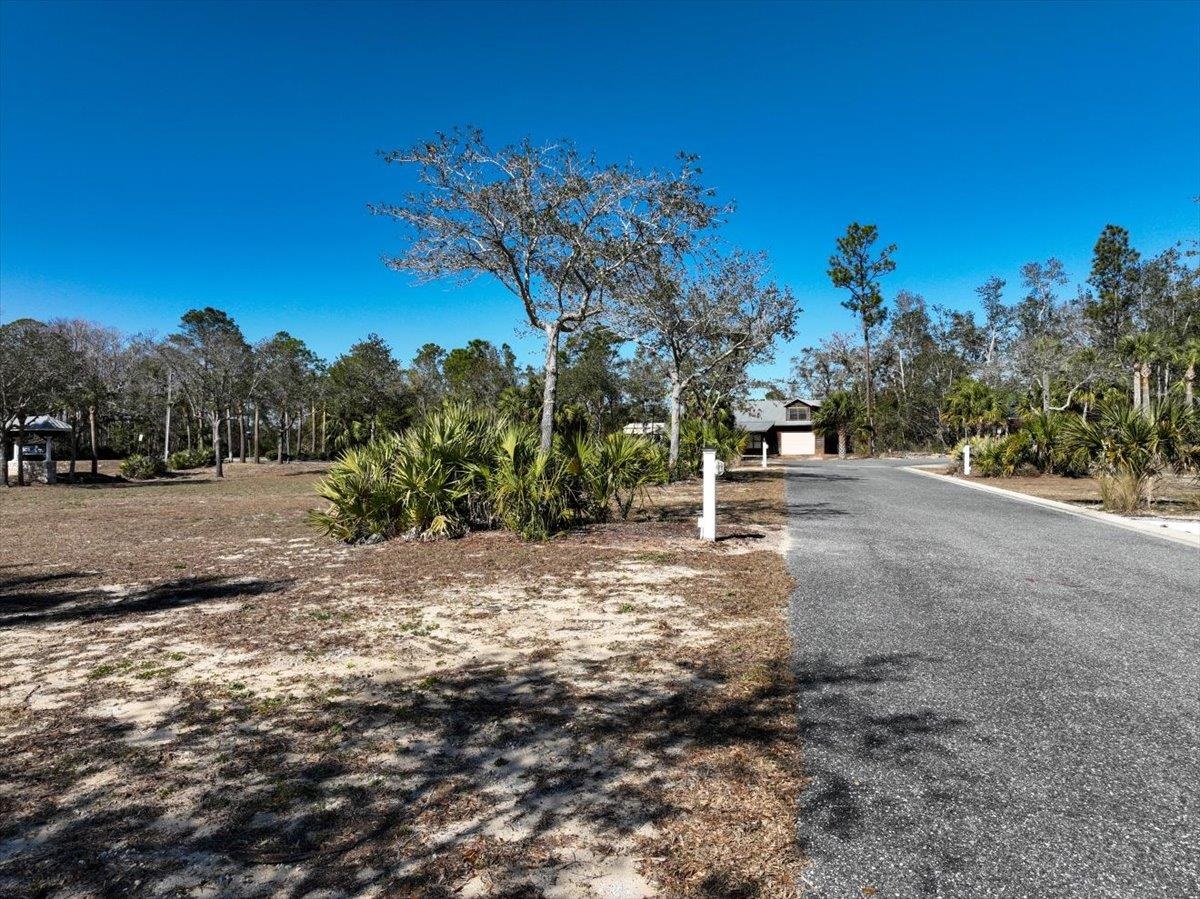 NE Rivers Bend Lot 4d Crossing #LOT 4D, Steinhatchee, Texas image 12