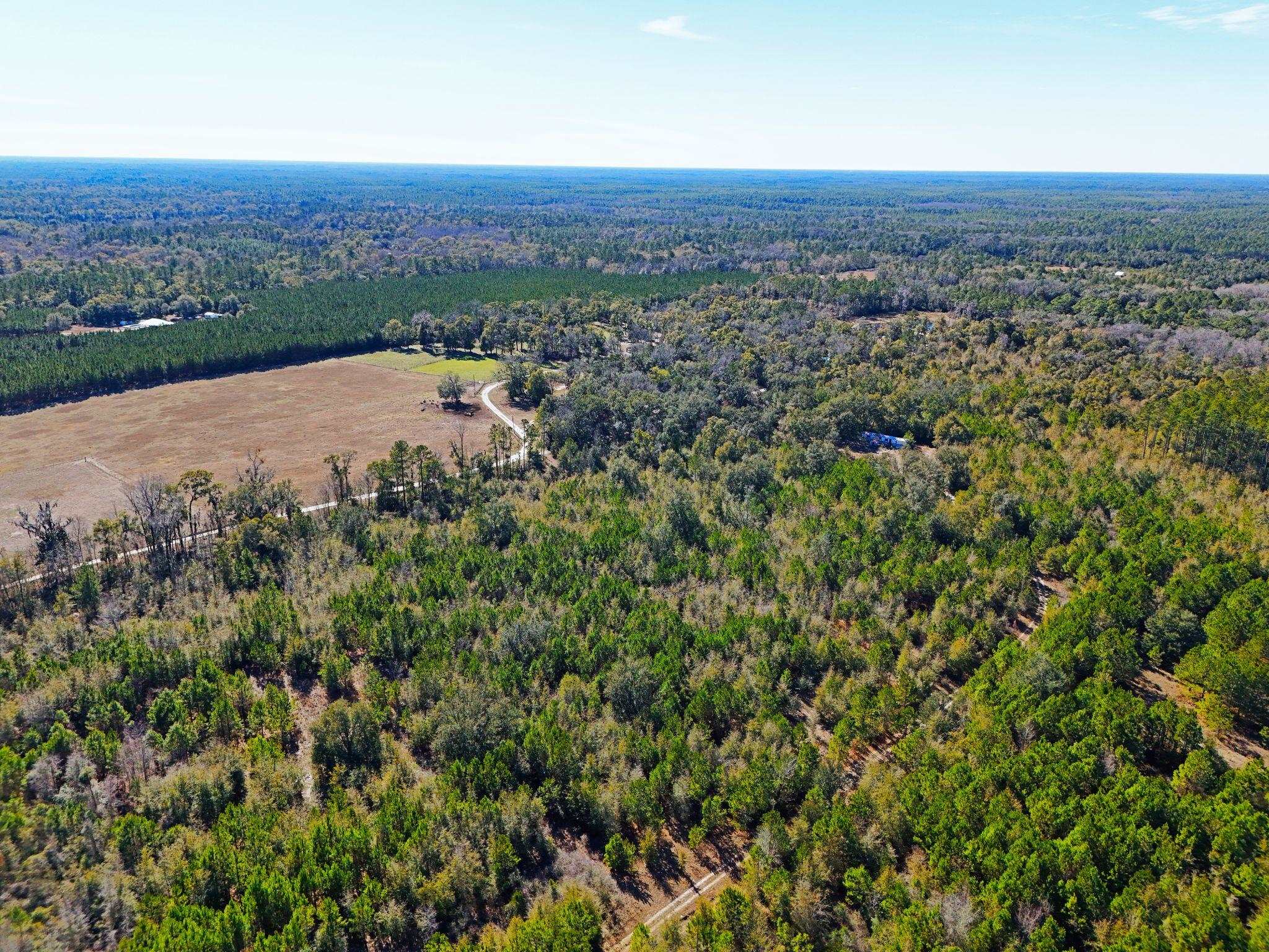 Roland Harvey Road, Crawfordville, Texas image 10