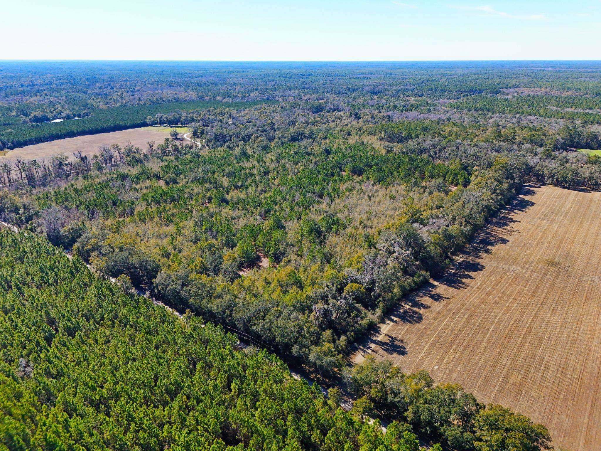 Roland Harvey Road, Crawfordville, Texas image 2