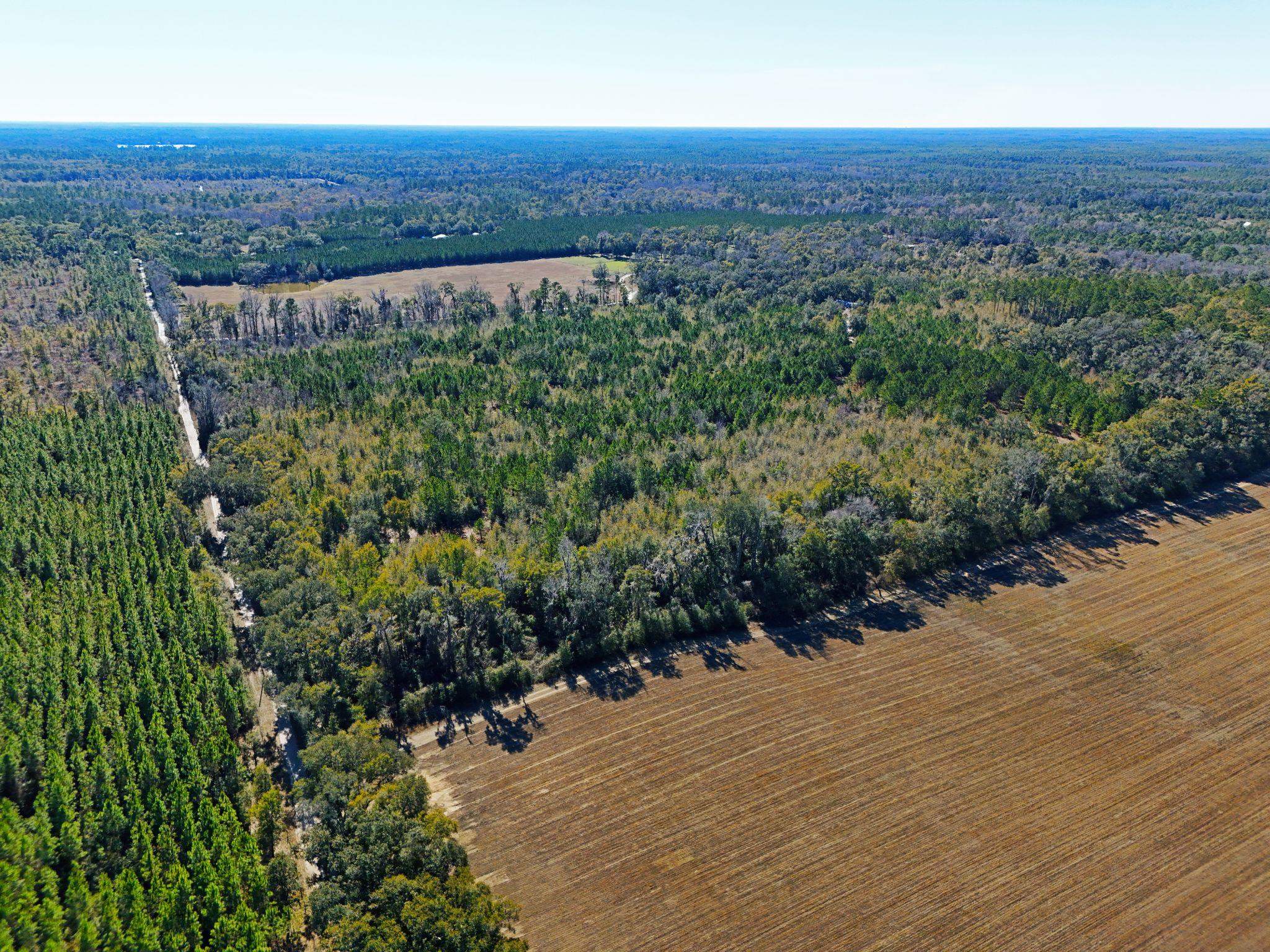 Roland Harvey Road, Crawfordville, Texas image 3