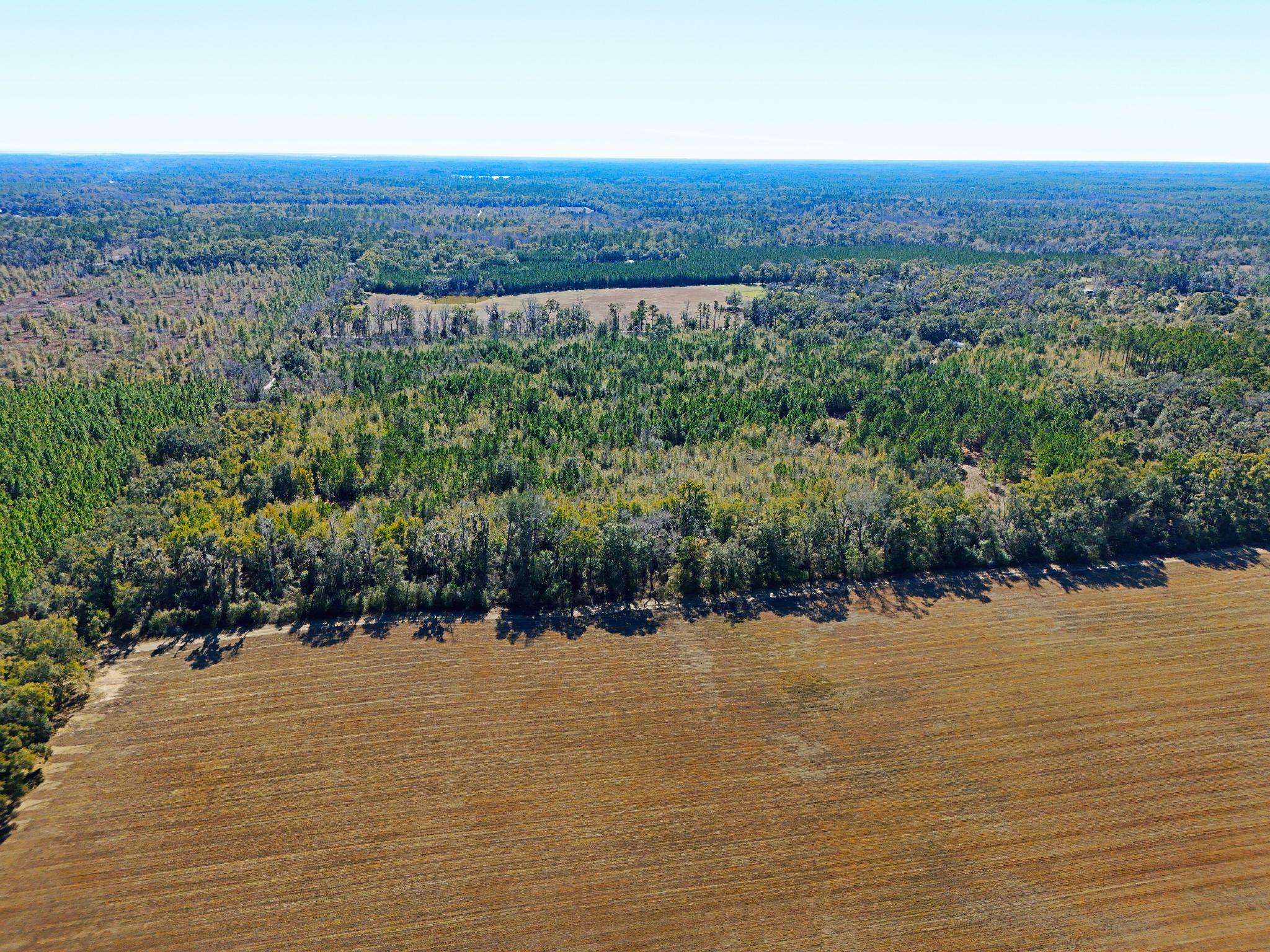 Roland Harvey Road, Crawfordville, Texas image 4