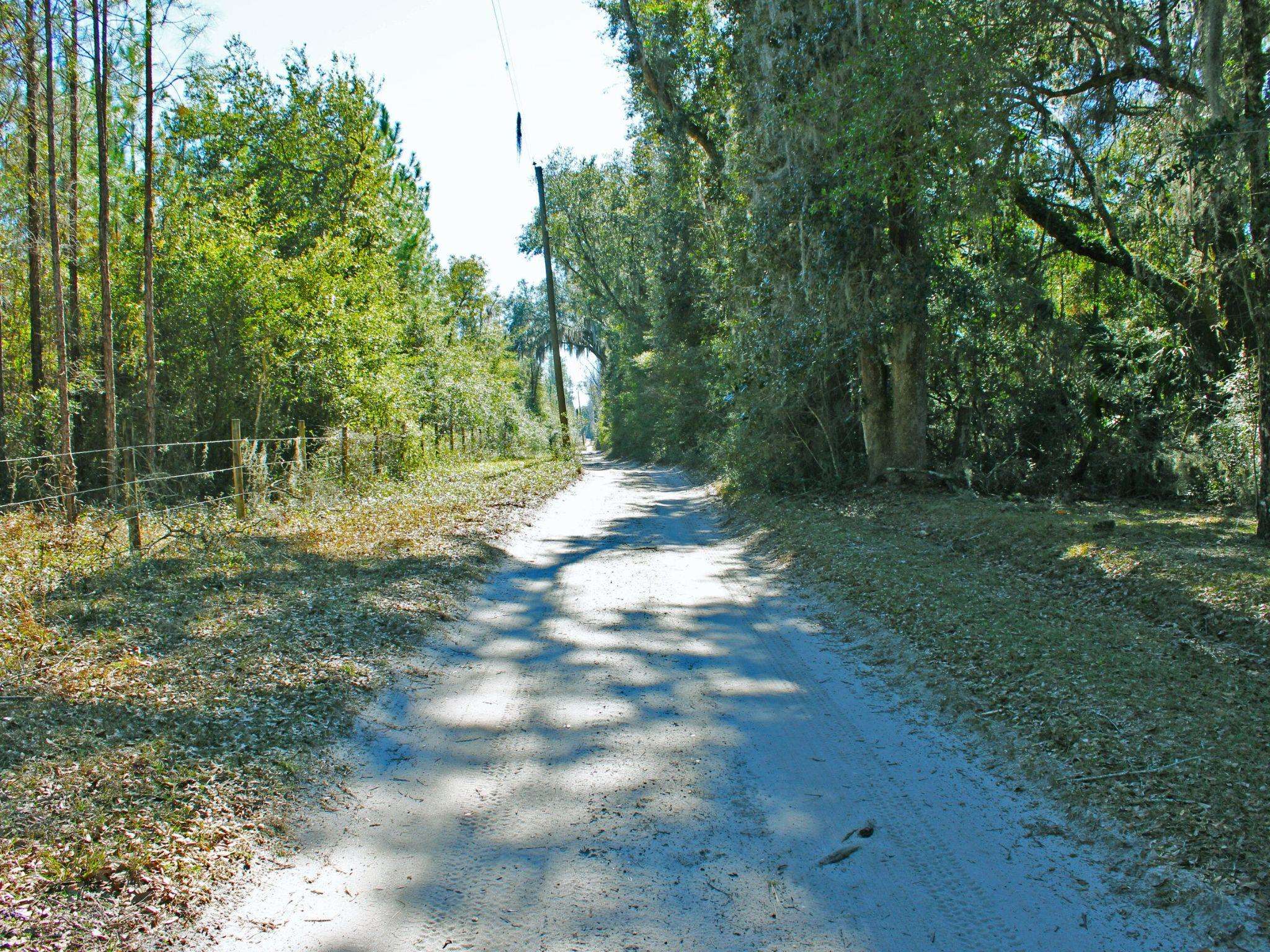 Roland Harvey Road, Crawfordville, Texas image 6