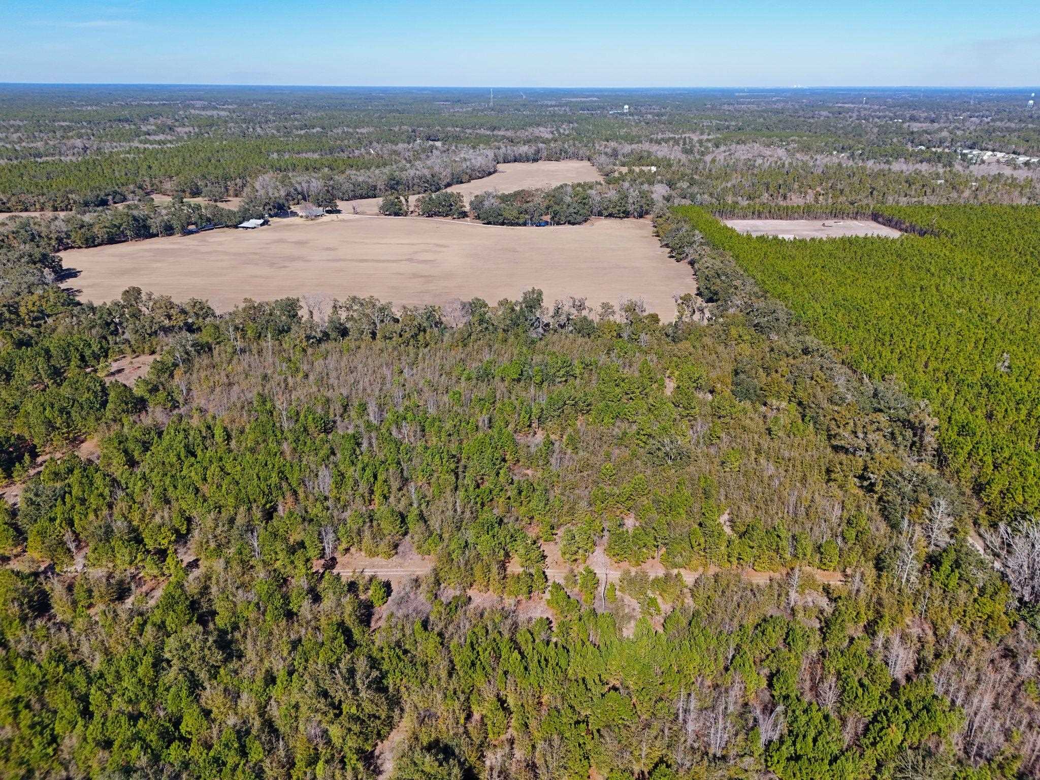 Roland Harvey Road, Crawfordville, Texas image 8